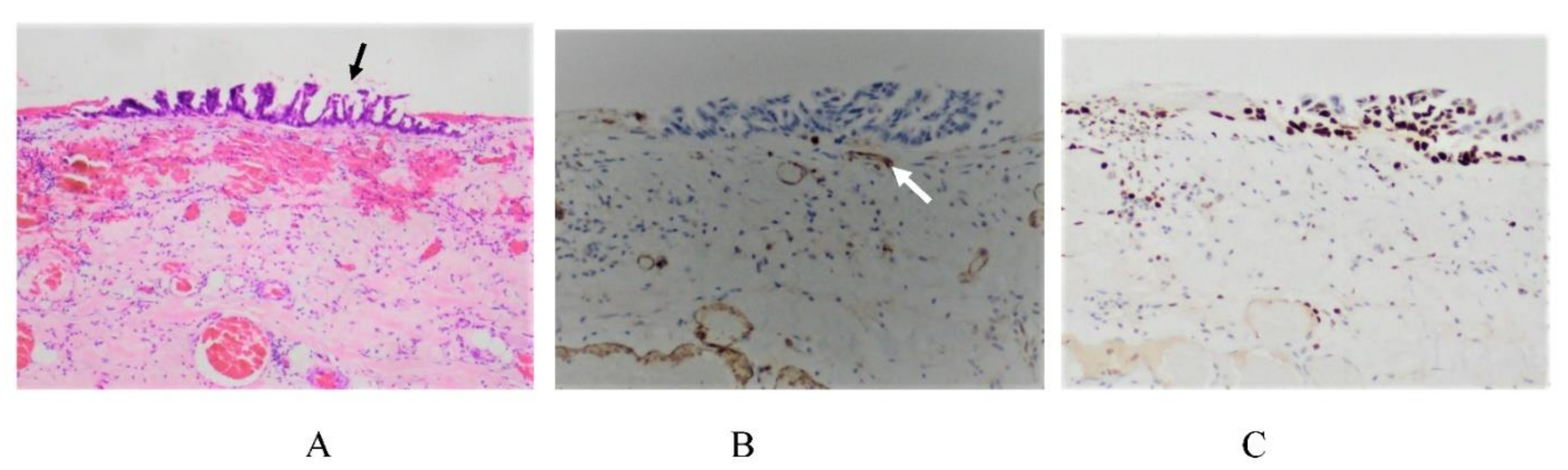 Jcm 11 00458 g019
