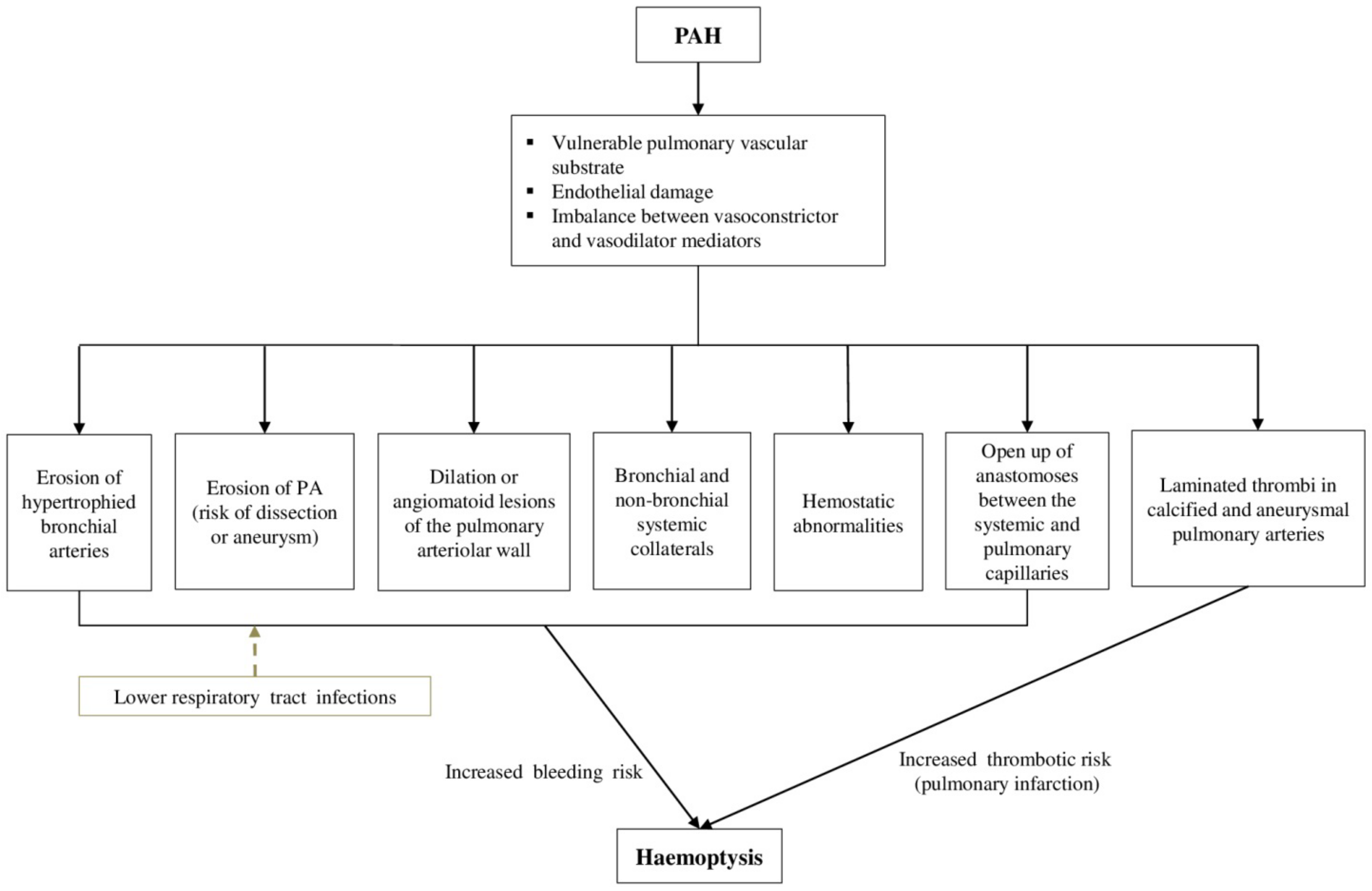 Jcm 11 00633 g001 Jcm 11 00633 g001
