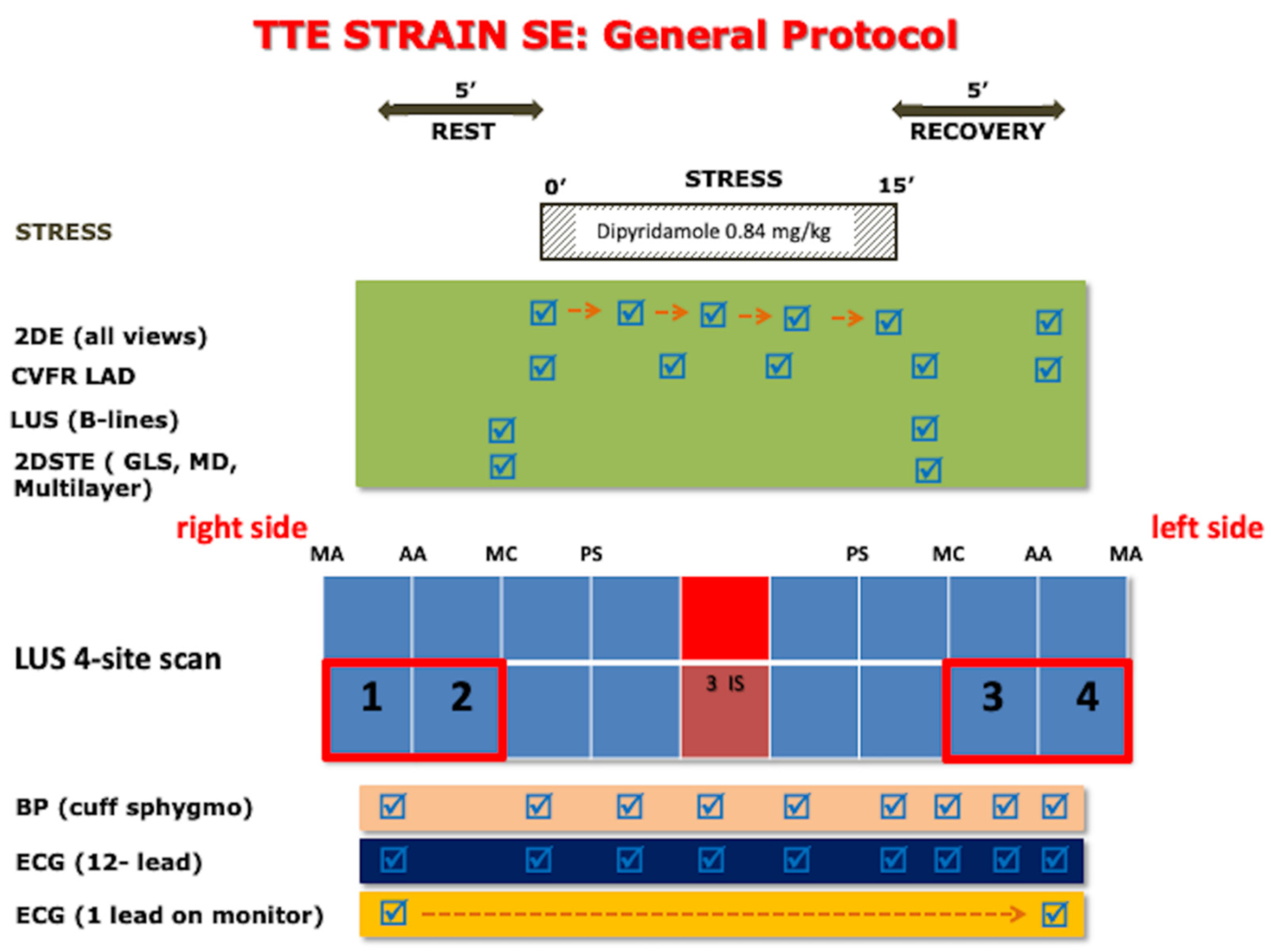Jcm 11 00711 g001 Jcm 11 00711 g001