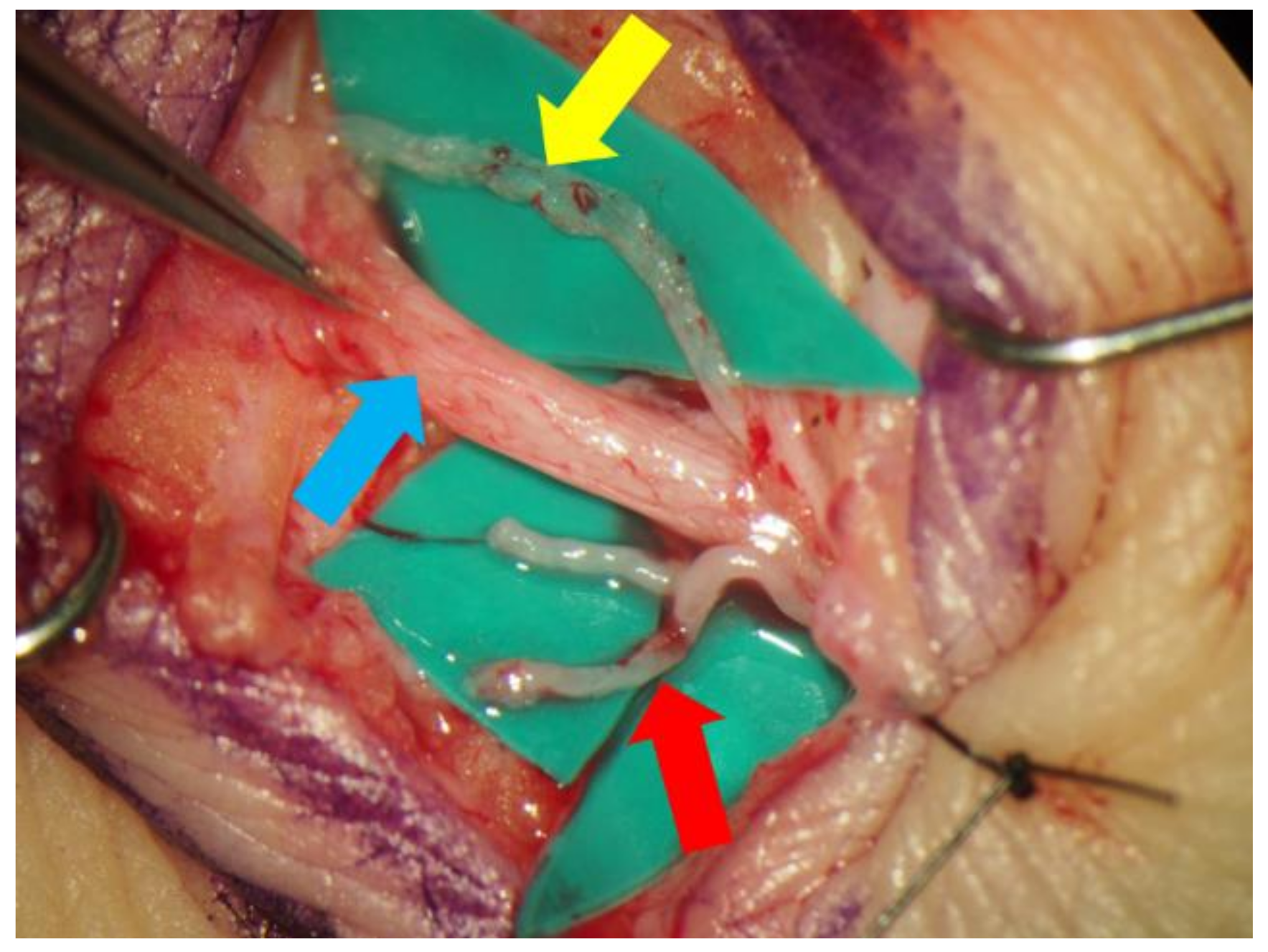 Jcm 11 00867 g002 Jcm 11 00867 g002