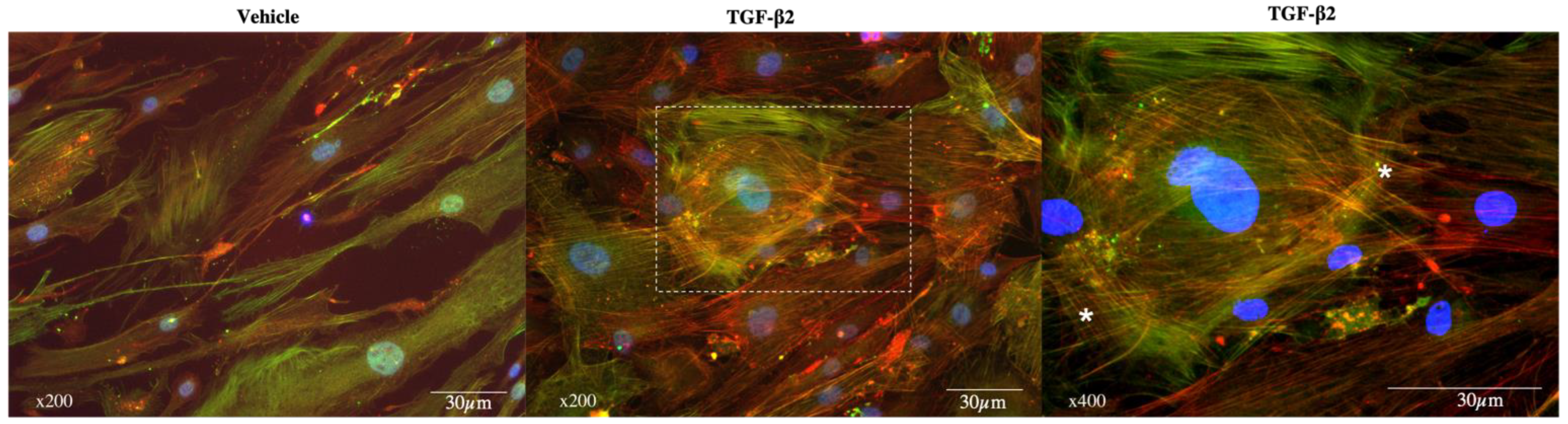 Jcm 11 01001 g002 Jcm 11 01001 g002
