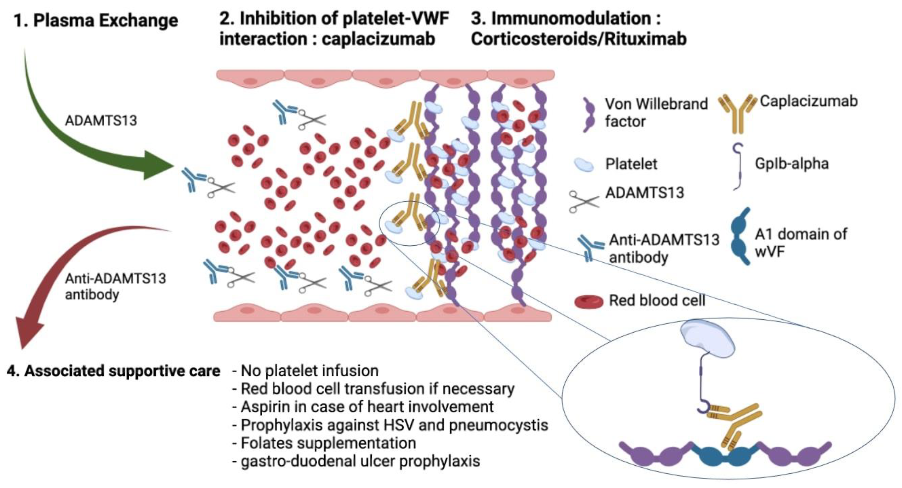 Jcm 11 01103 g002 Jcm 11 01103 g002