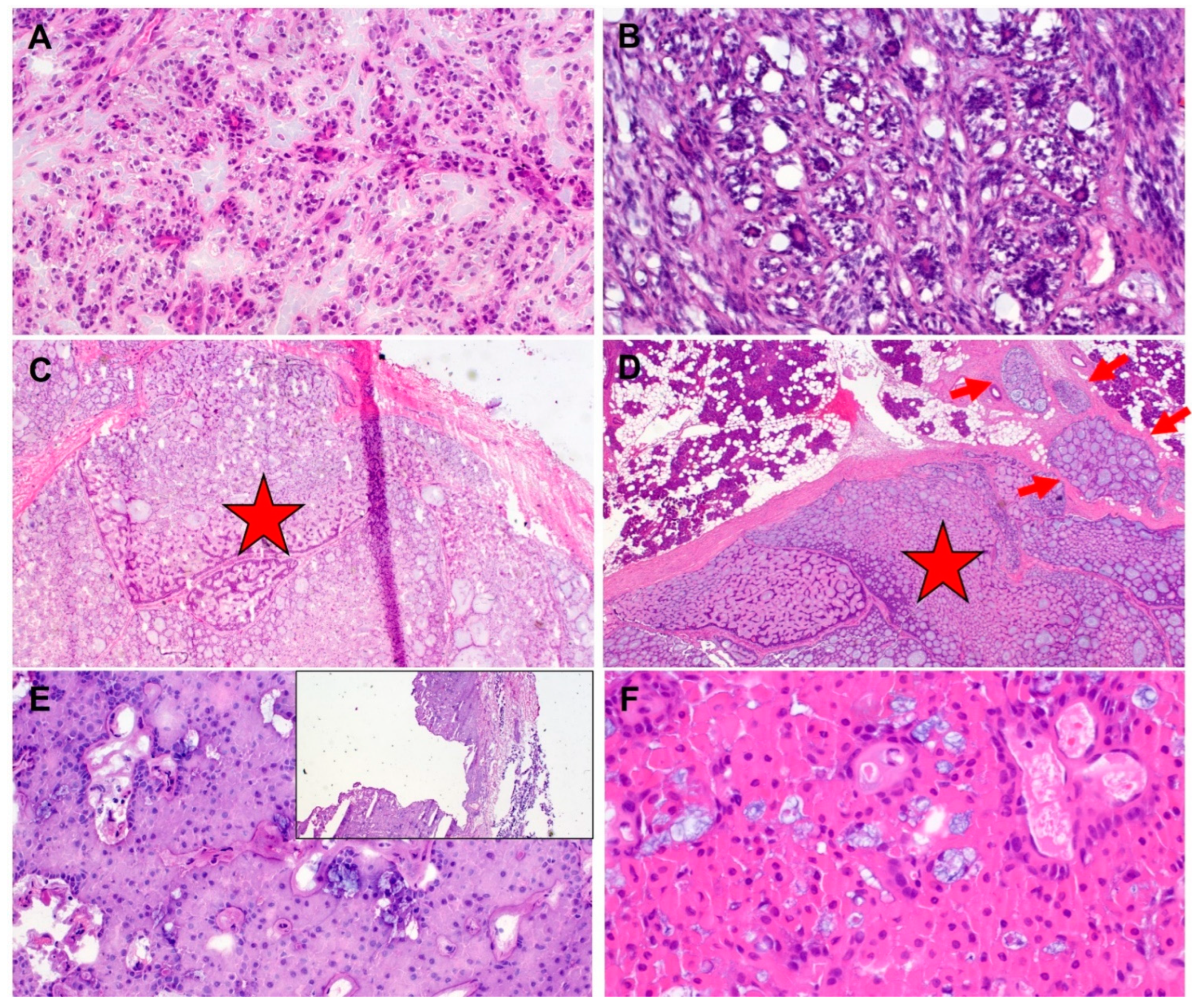 Jcm 11 01249 g002 Jcm 11 01249 g002