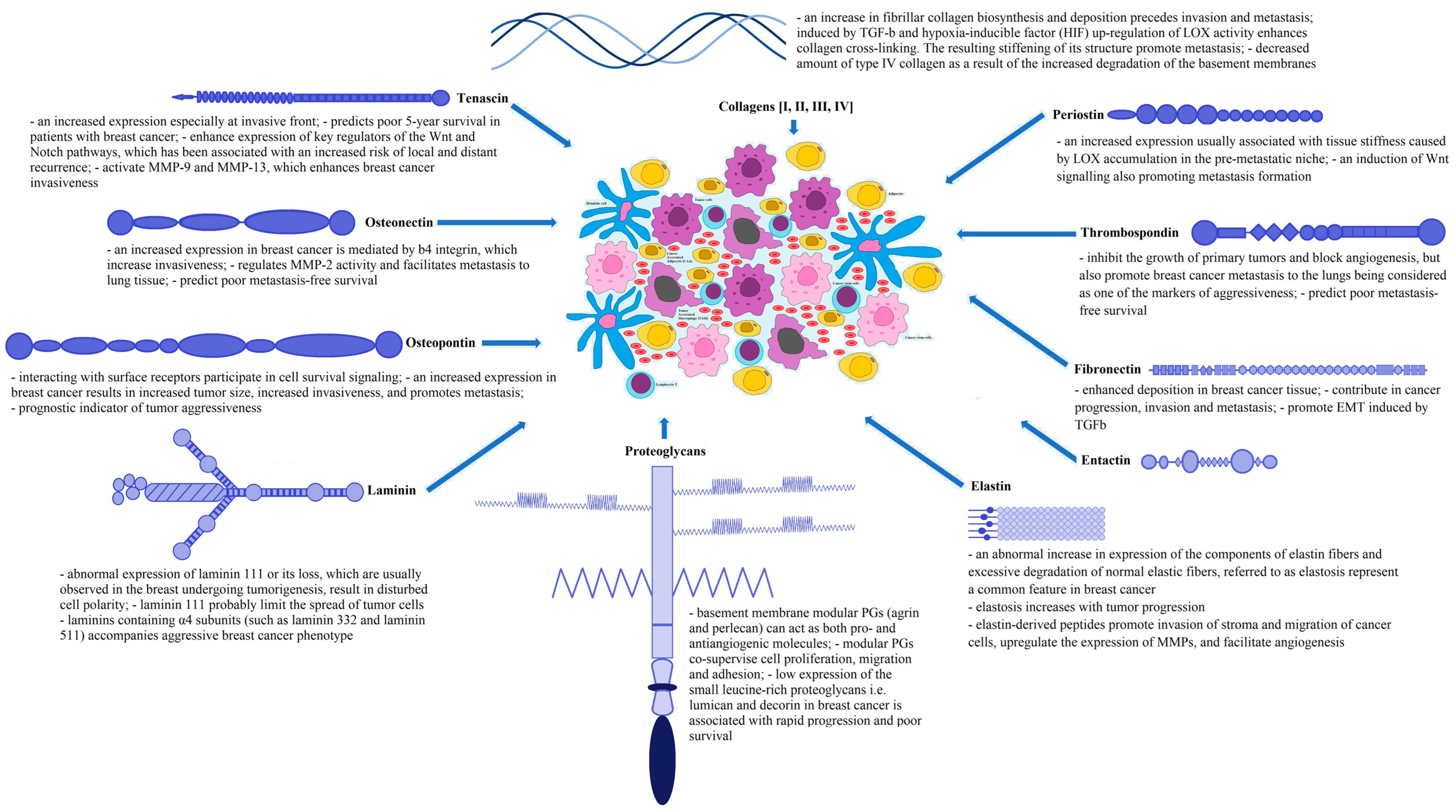 Jcm 11 01250 g001 Jcm 11 01250 g001