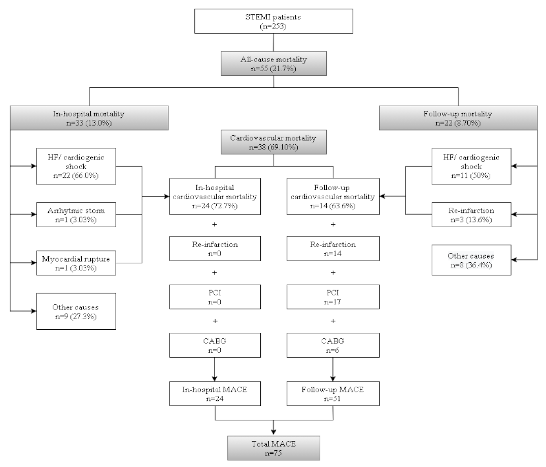 Jcm 11 01266 g001 Jcm 11 01266 g001