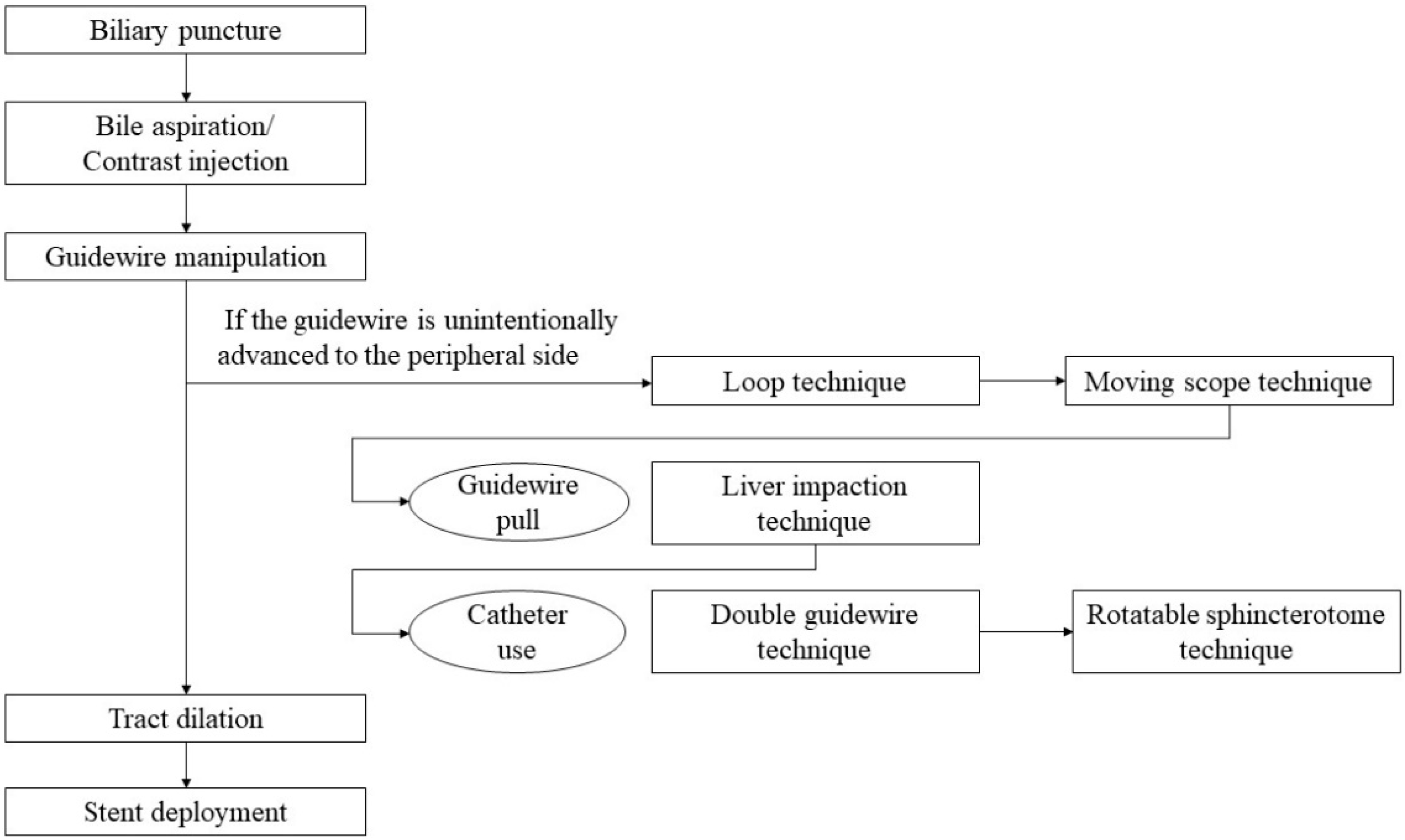 Jcm 11 01591 g001 Jcm 11 01591 g001