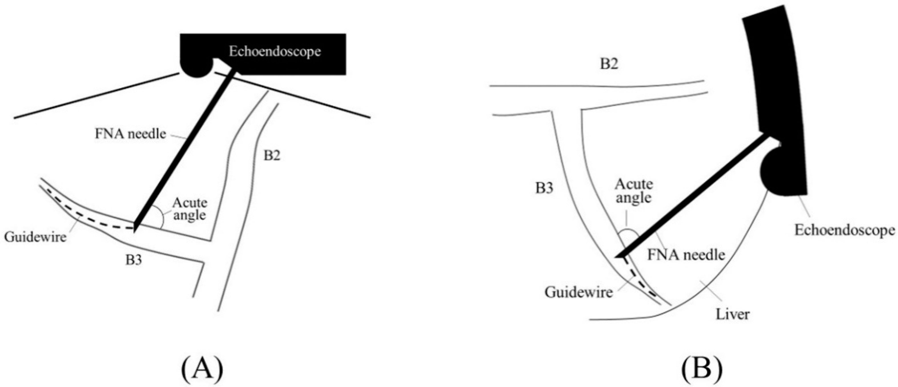 Jcm 11 01591 g002 Jcm 11 01591 g002