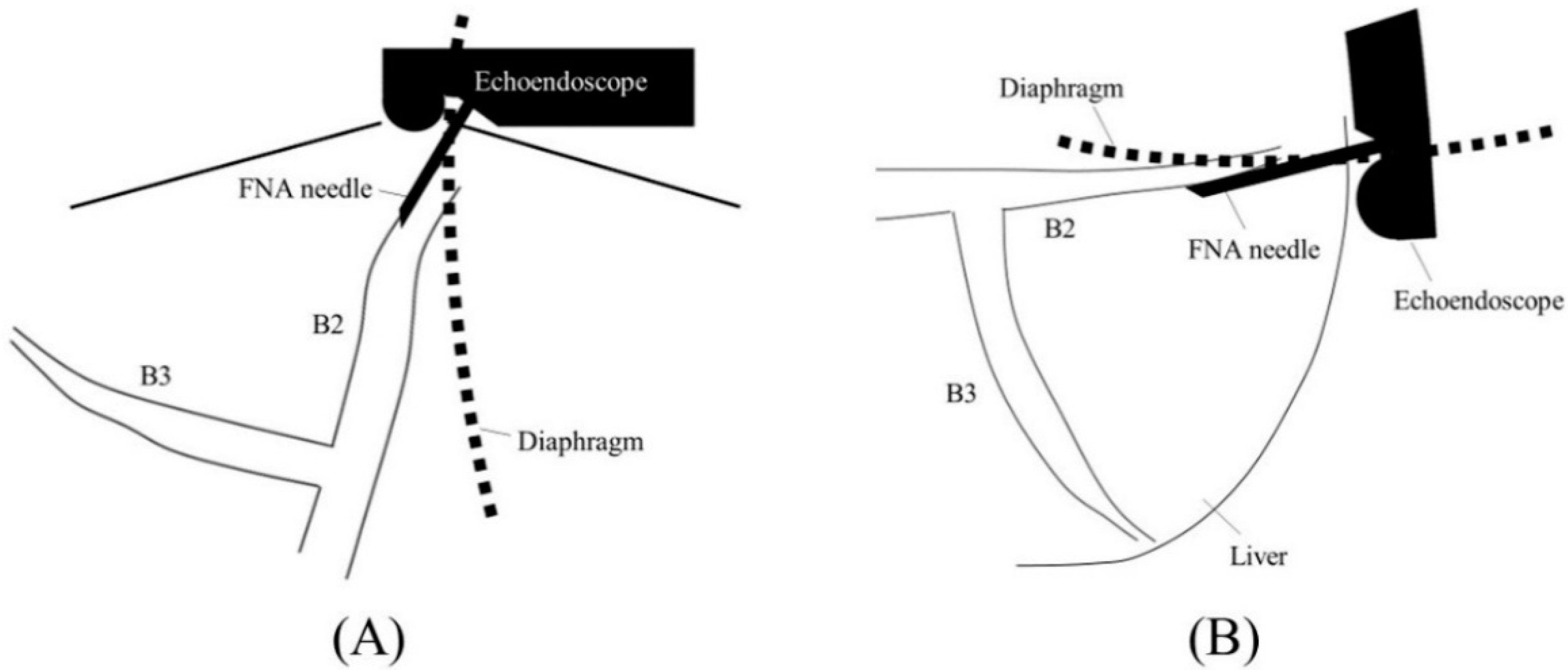 Jcm 11 01591 g005 Jcm 11 01591 g005