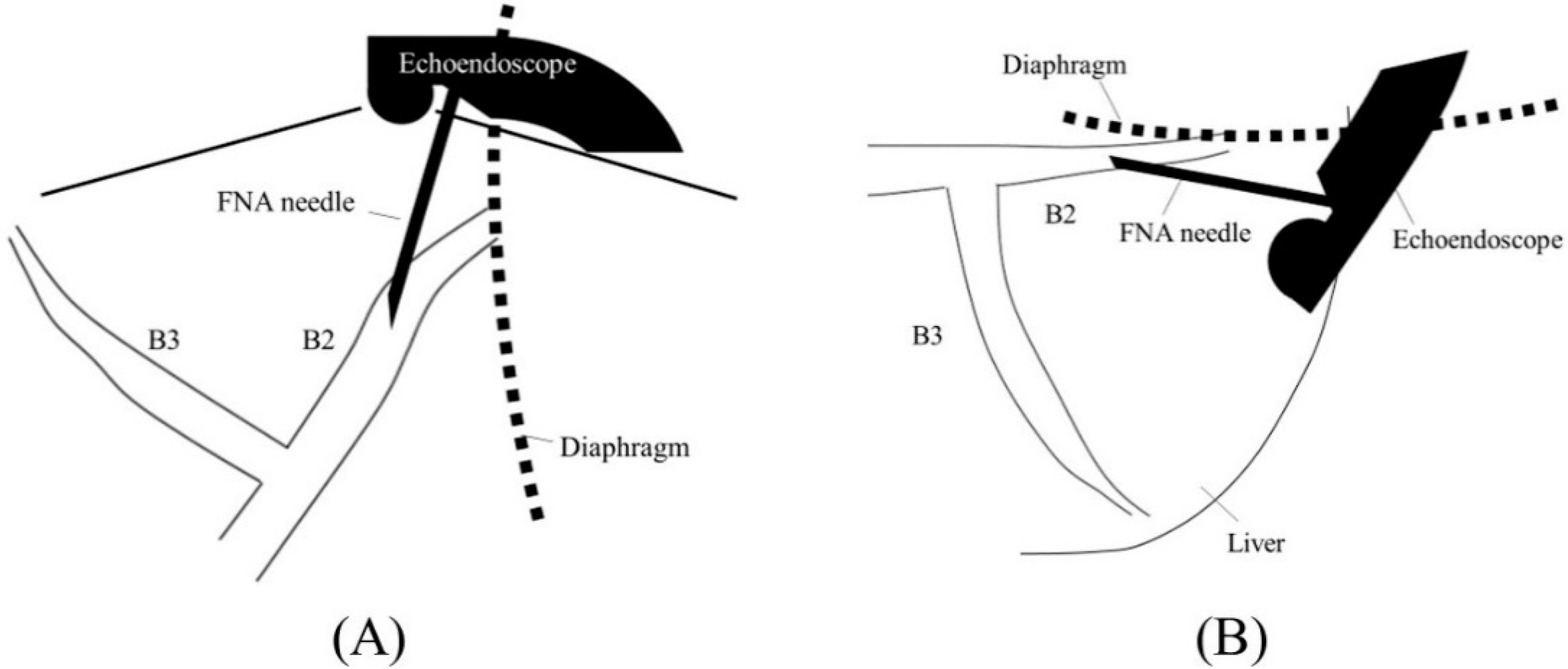 Jcm 11 01591 g006 Jcm 11 01591 g006