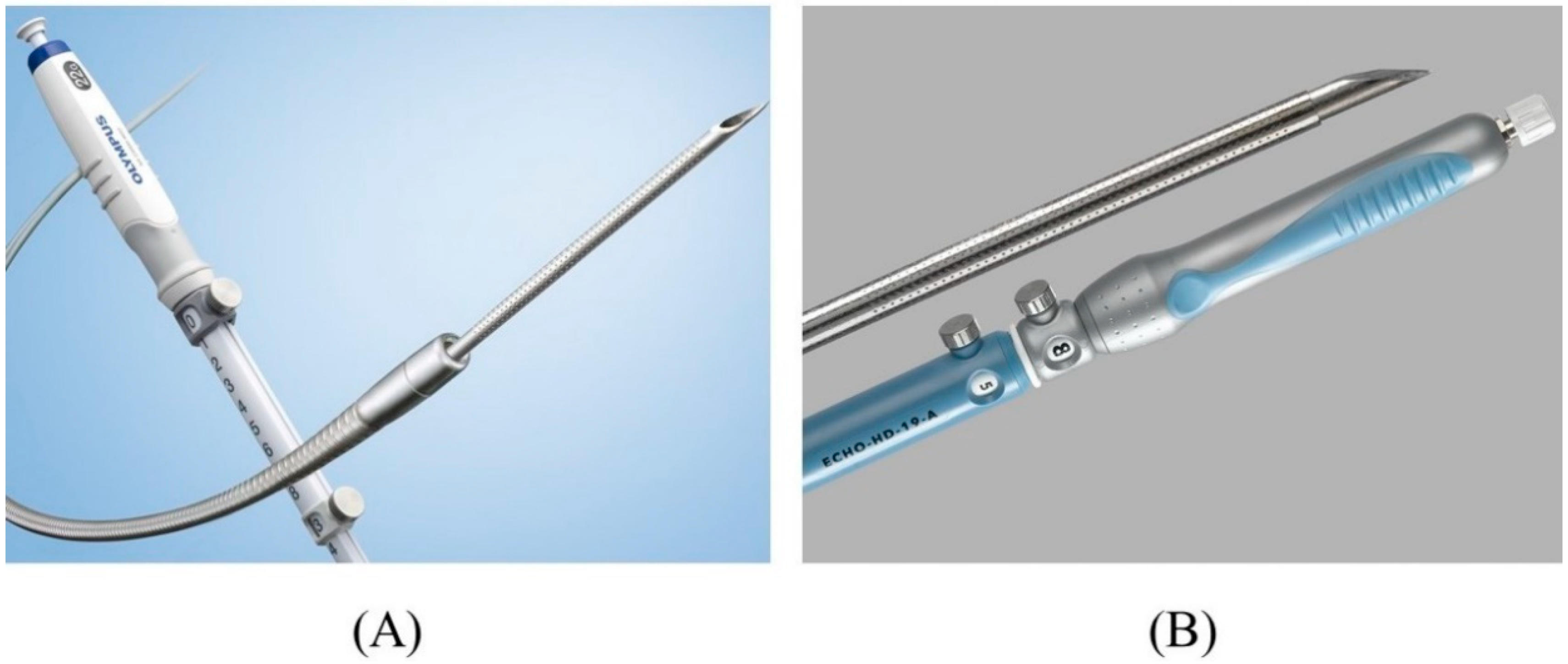 Jcm 11 01591 g007 Jcm 11 01591 g007