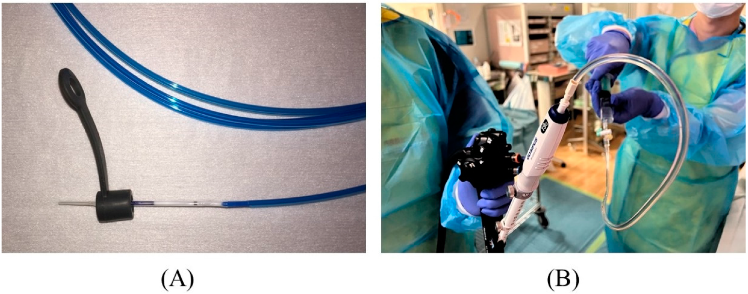 Jcm 11 01591 g008 Jcm 11 01591 g008