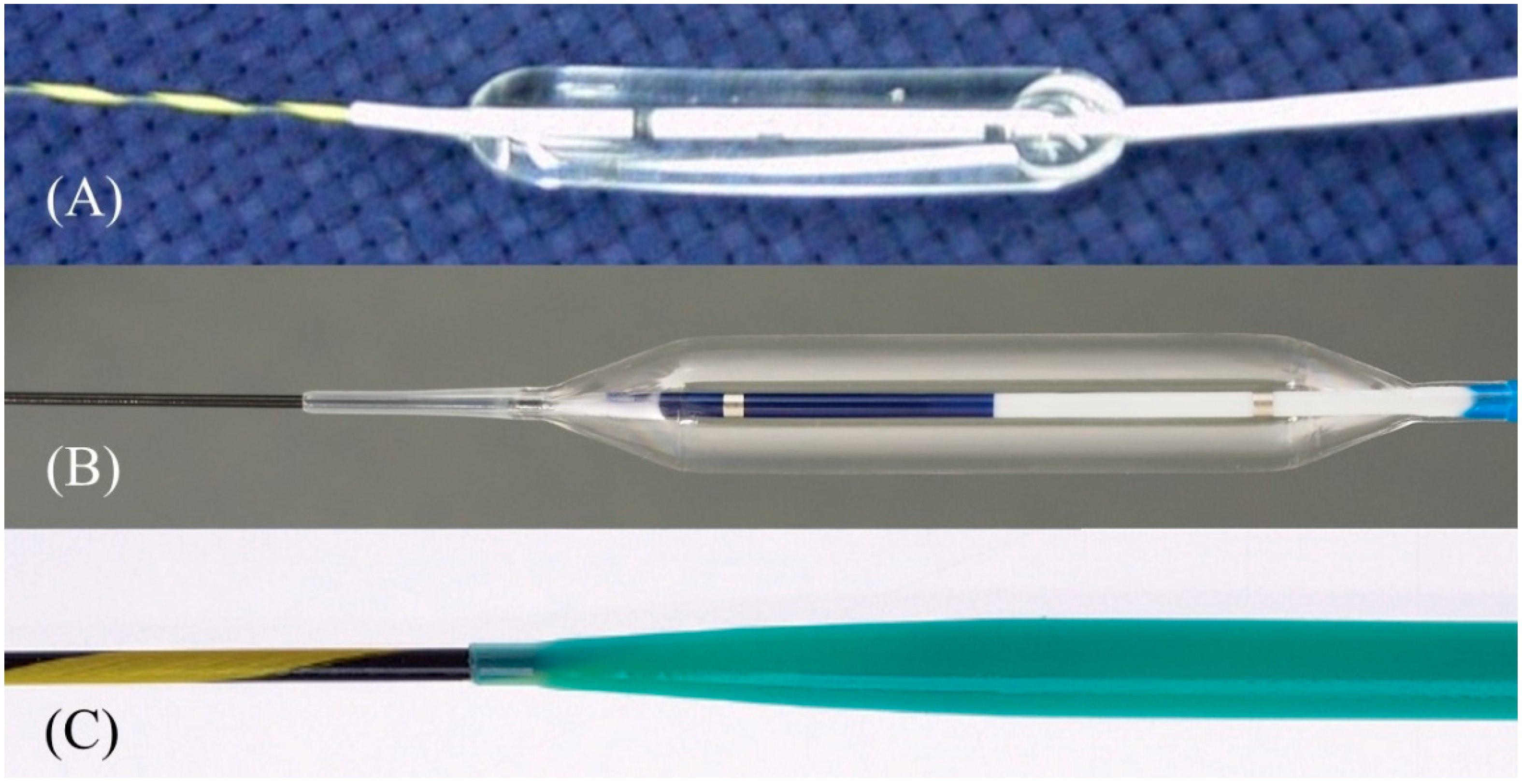 Jcm 11 01591 g014 Jcm 11 01591 g014