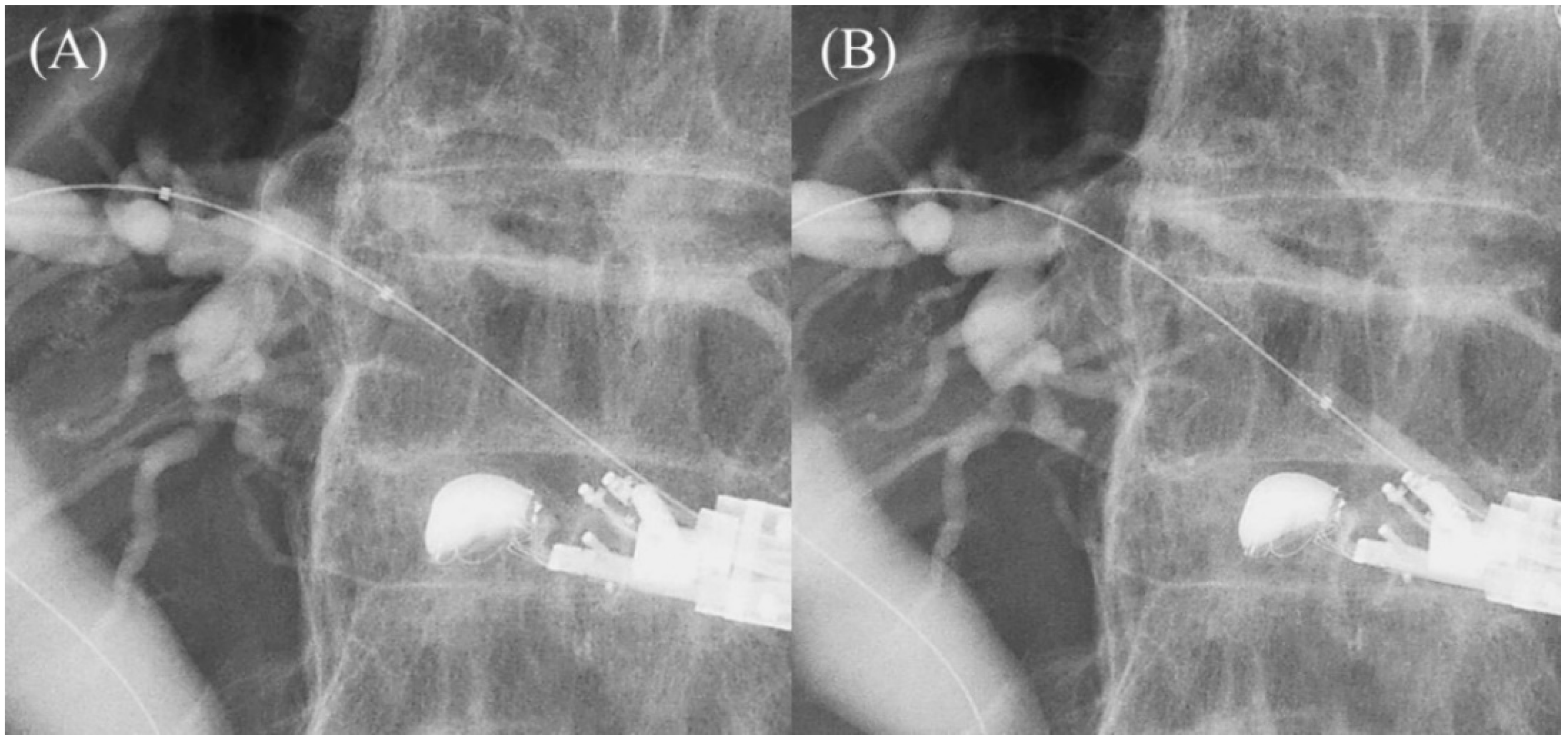 Jcm 11 01591 g015 Jcm 11 01591 g015