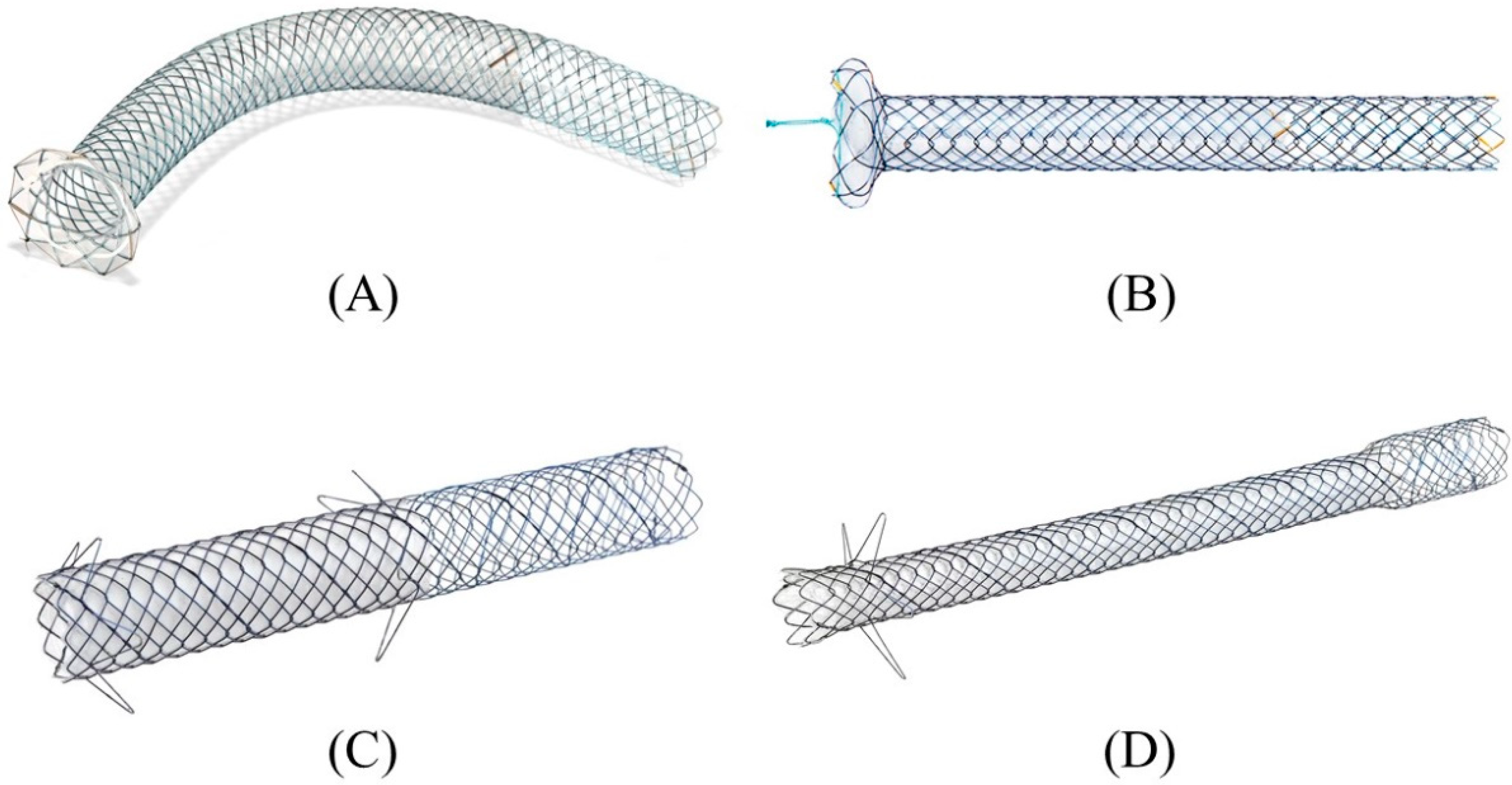 Jcm 11 01591 g016 Jcm 11 01591 g016