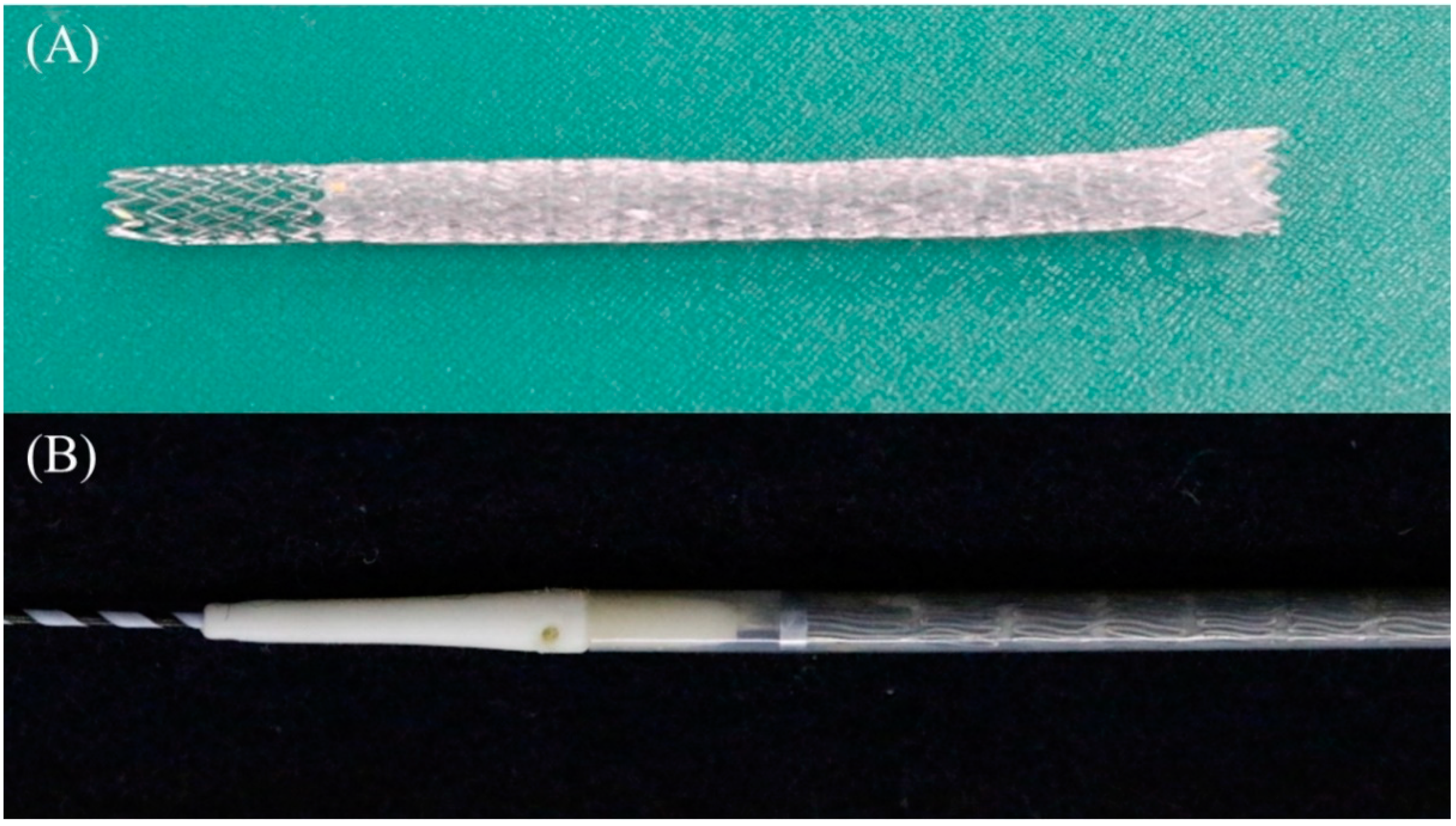 Jcm 11 01591 g019 Jcm 11 01591 g019