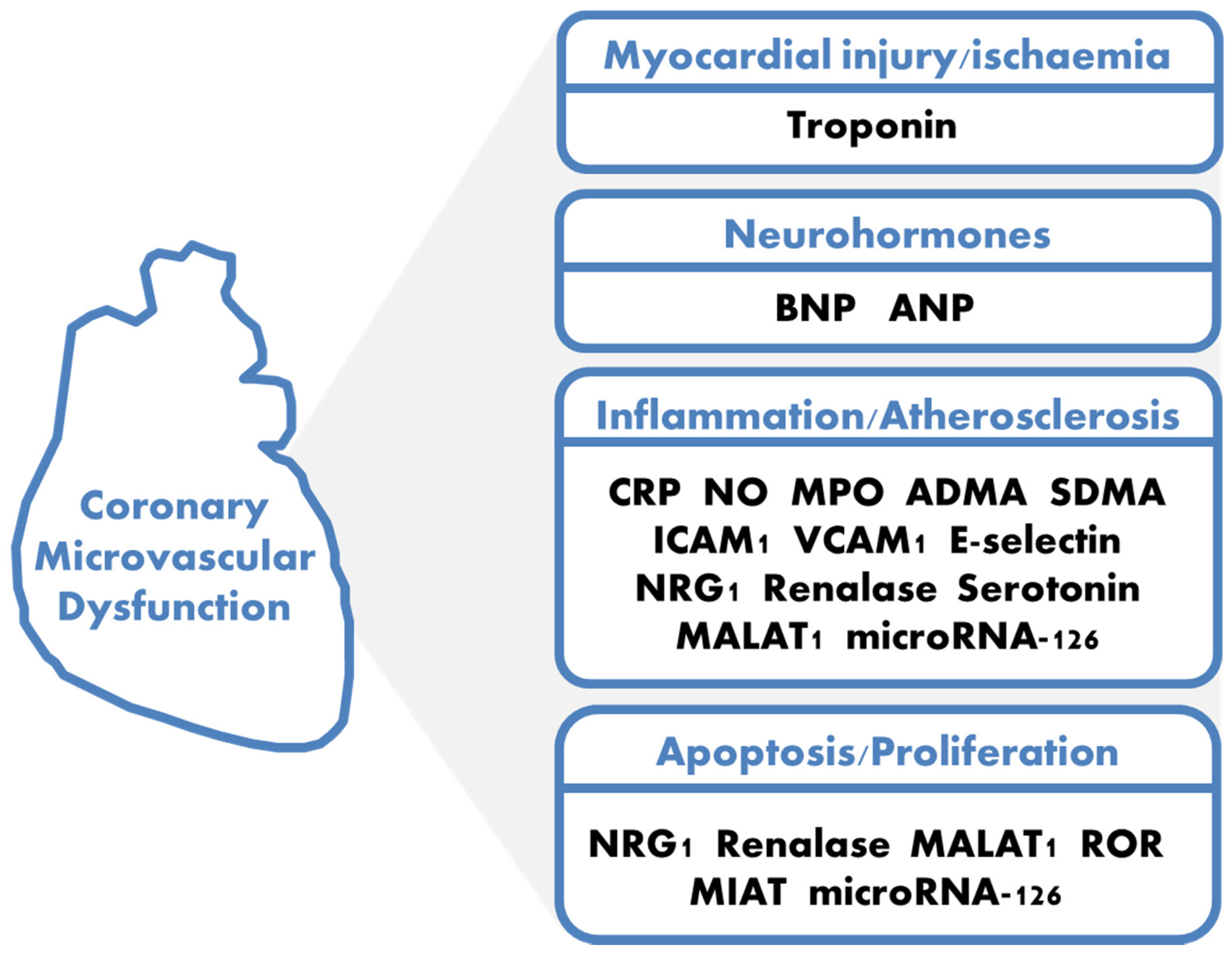 Jcm 11 02055 g001 Jcm 11 02055 g001