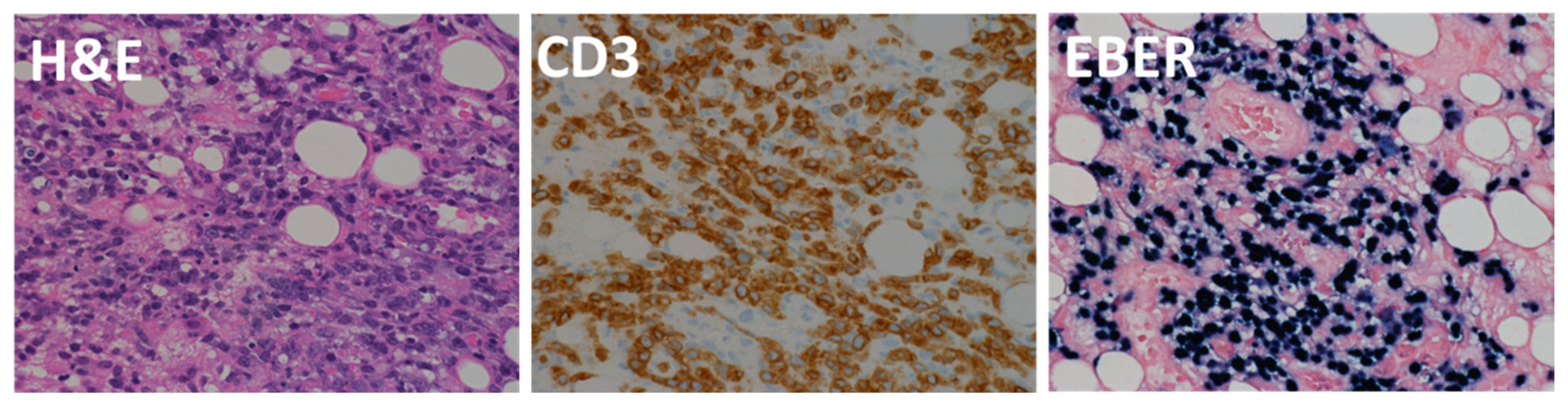 Jcm 11 02166 g006