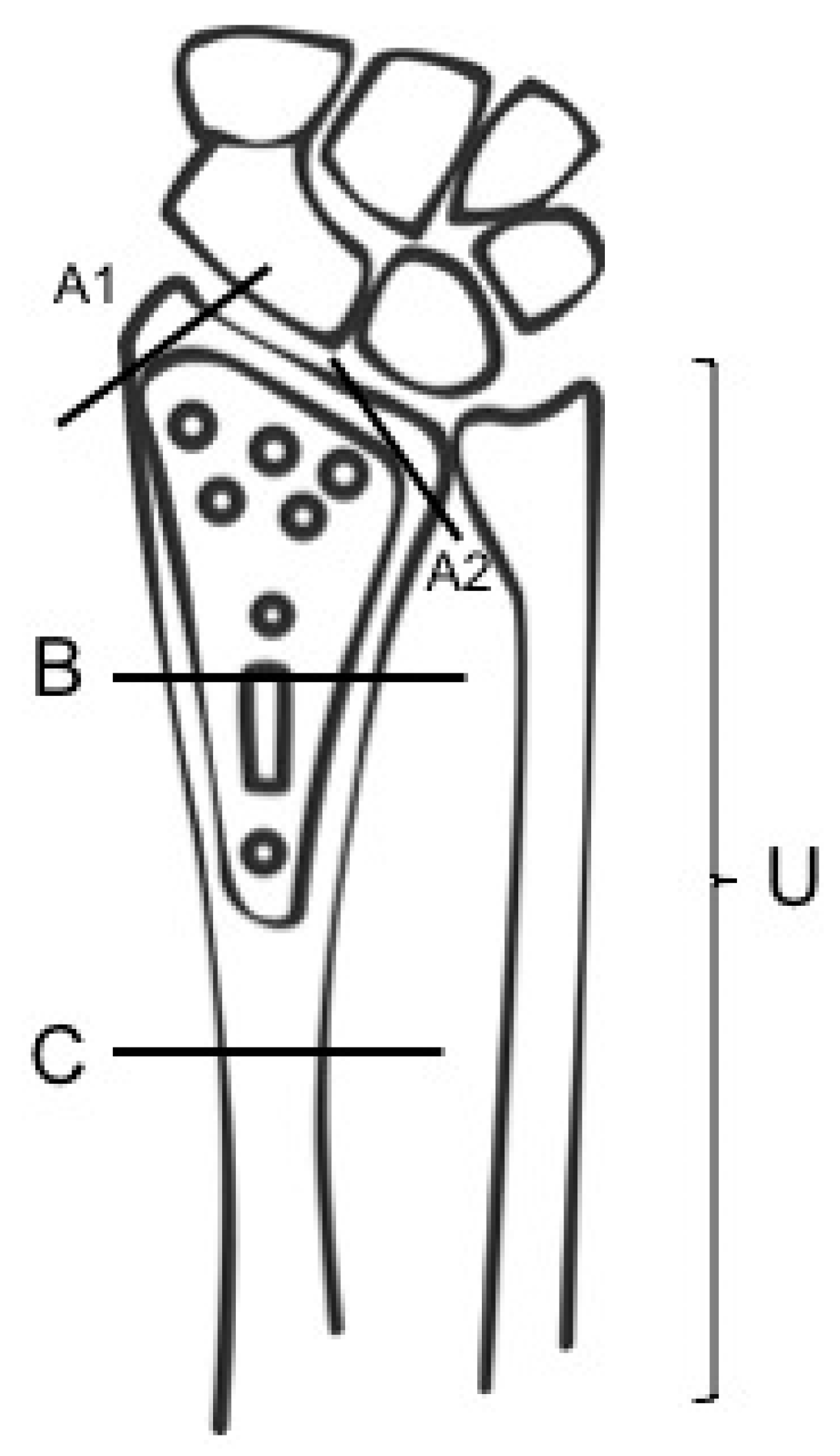 Jcm 11 02628 g002 Jcm 11 02628 g002