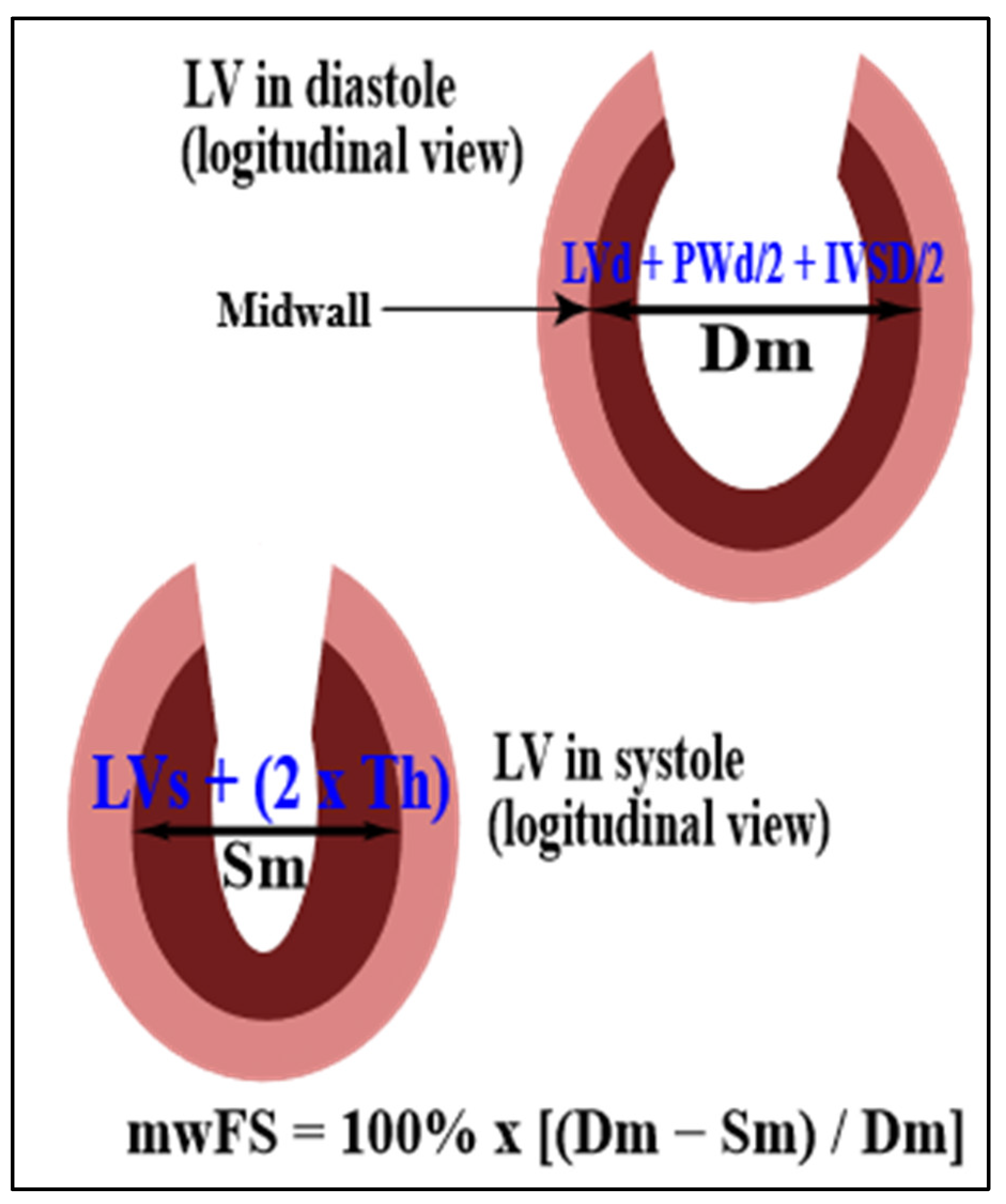 Jcm 11 02873 g002 Jcm 11 02873 g002