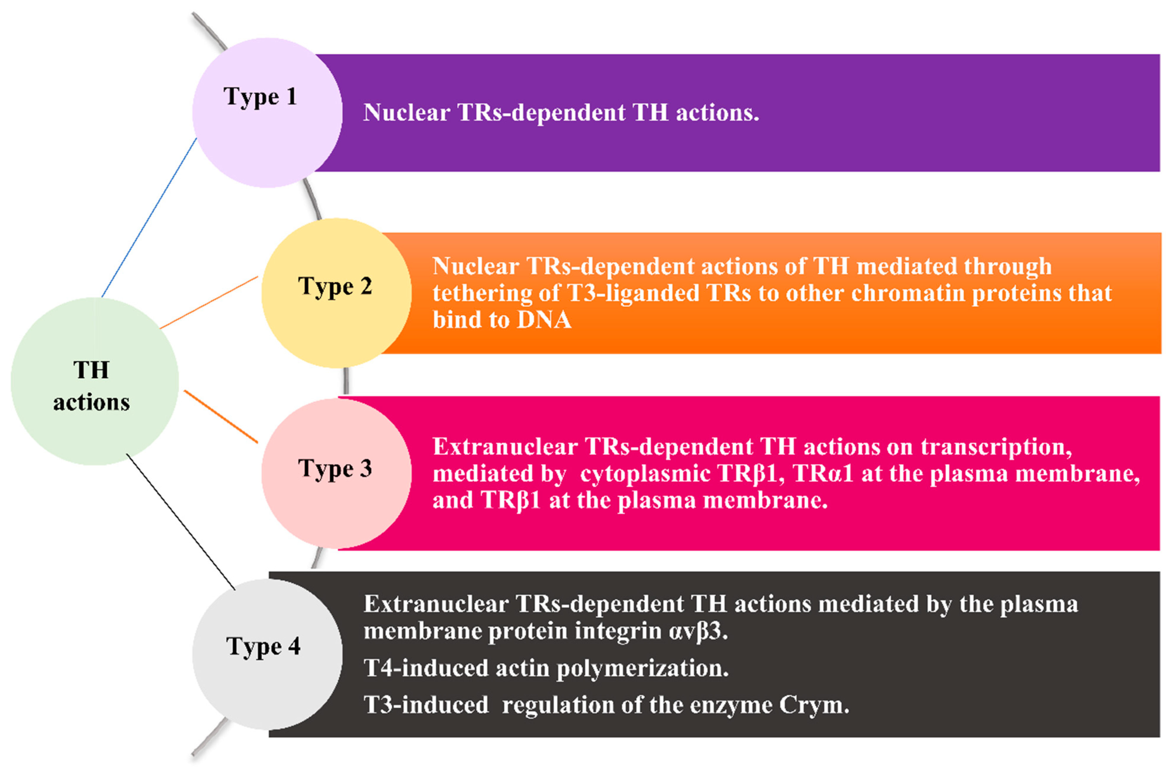 Jcm 11 03417 g001 Jcm 11 03417 g001