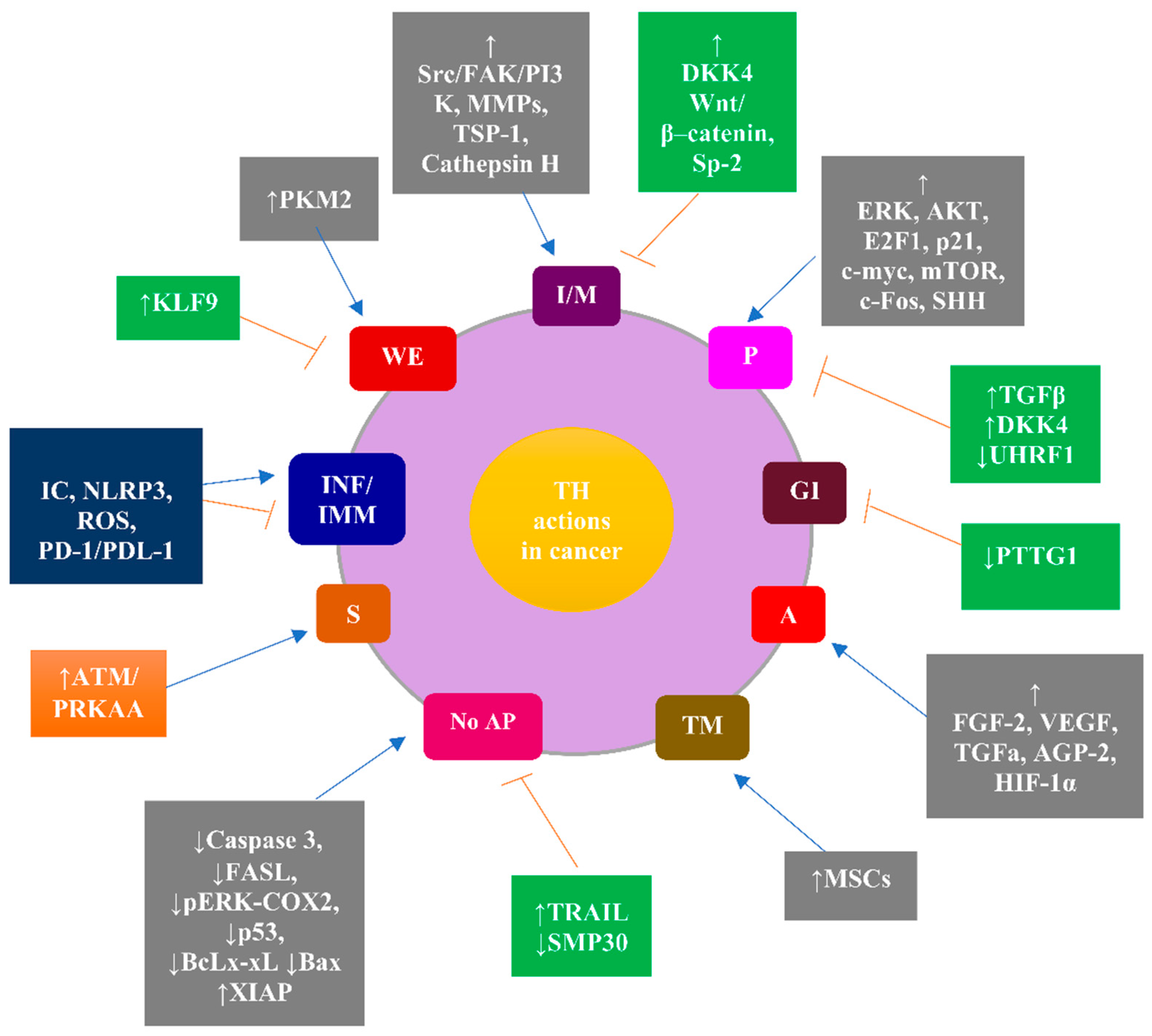 Jcm 11 03417 g002 Jcm 11 03417 g002
