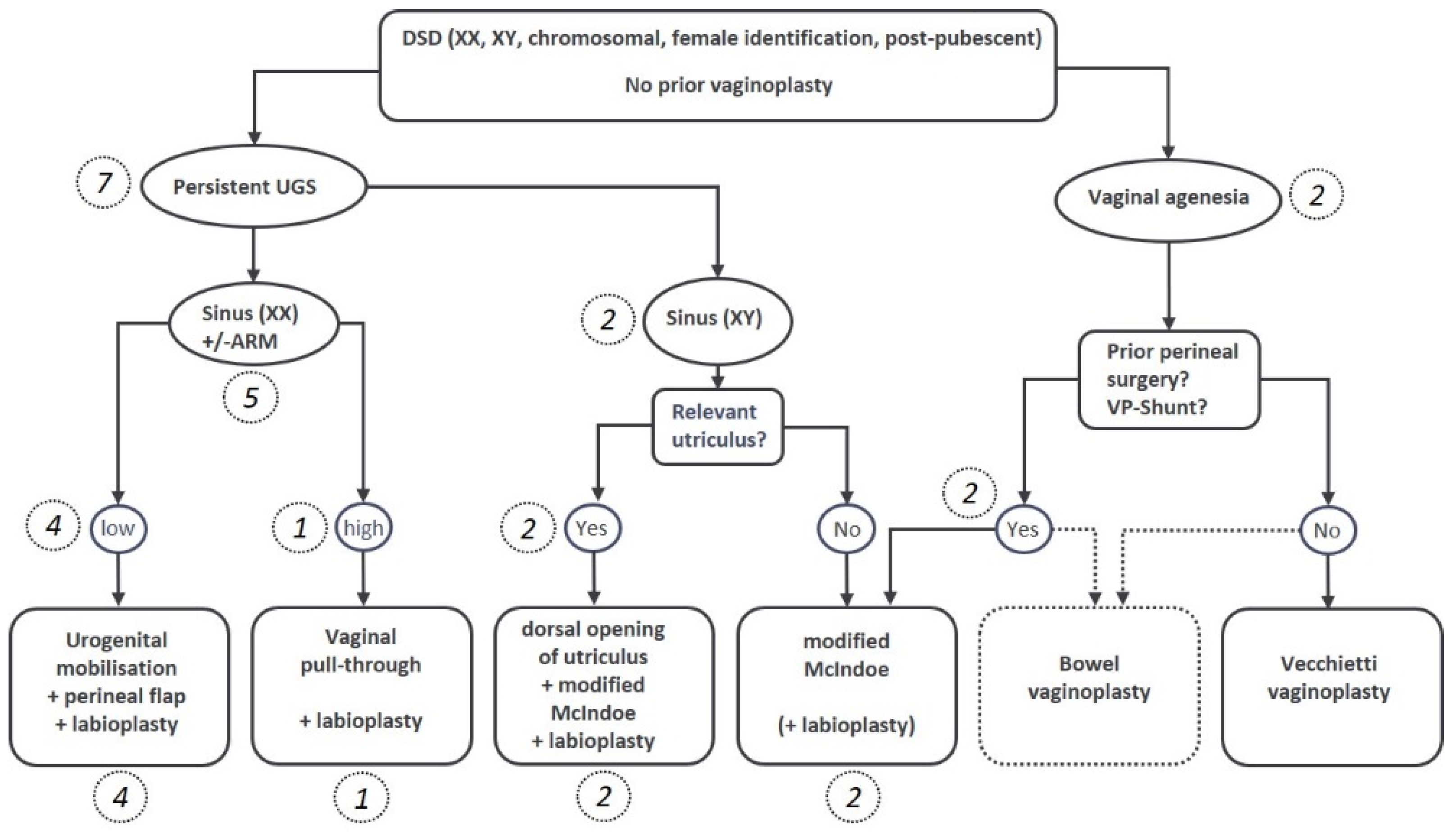 Jcm 11 03688 g001 Jcm 11 03688 g001