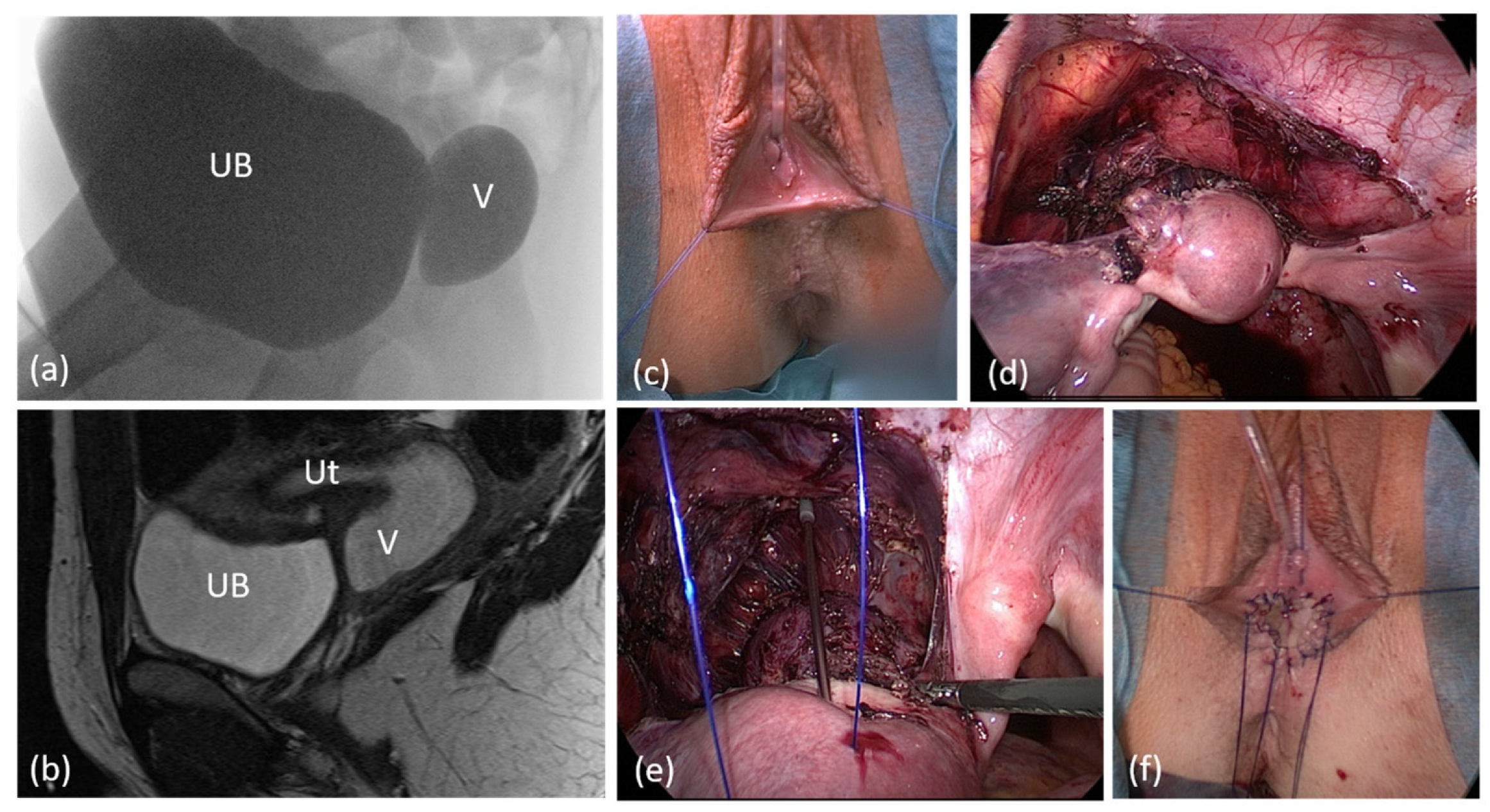 Jcm 11 03688 g005 Jcm 11 03688 g005