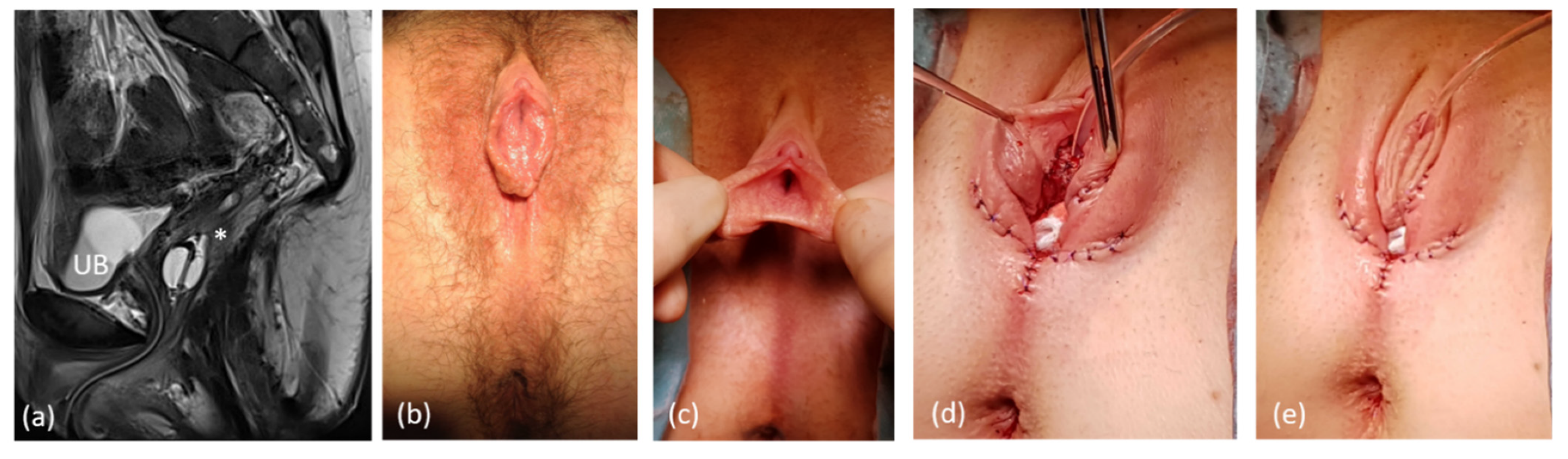 Jcm 11 03688 g007 Jcm 11 03688 g007