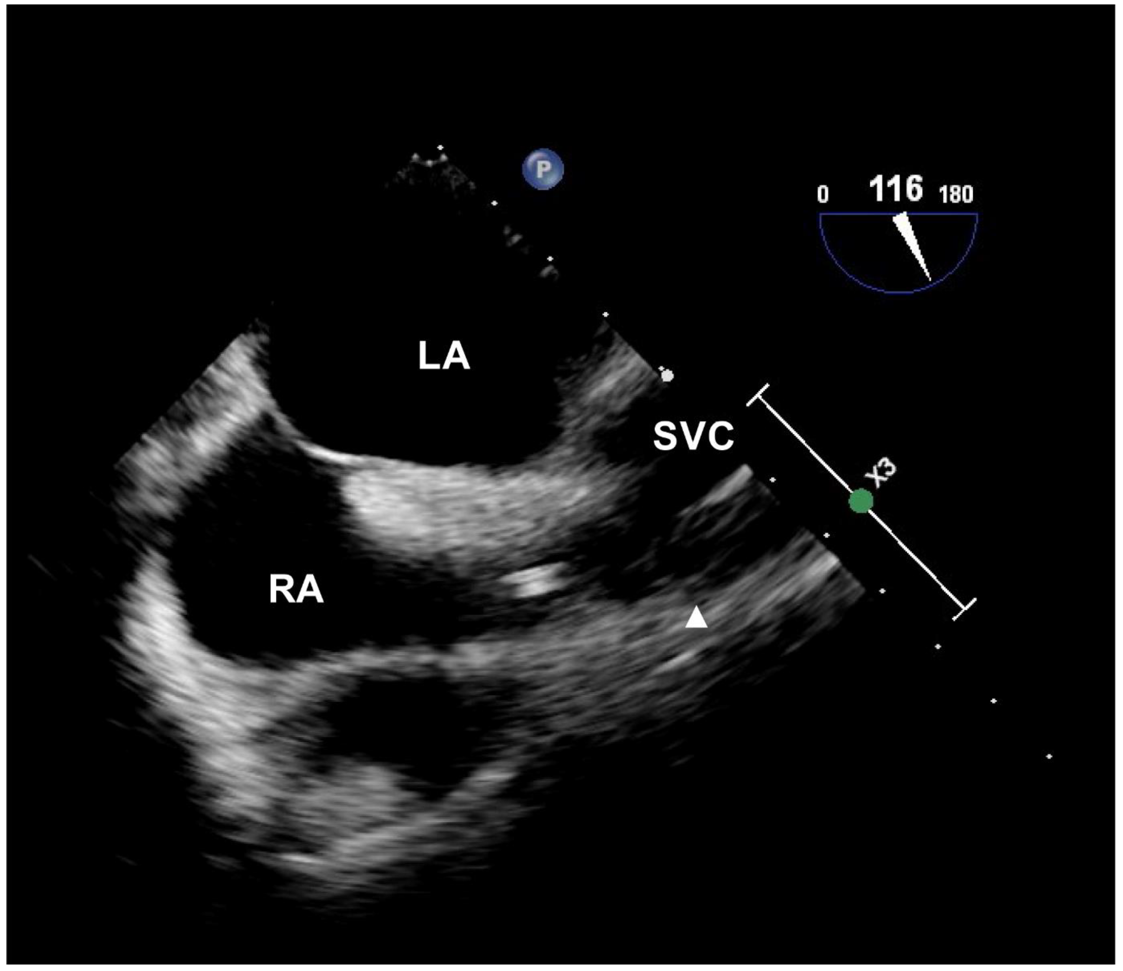 Jcm 11 03692 g002 Jcm 11 03692 g002