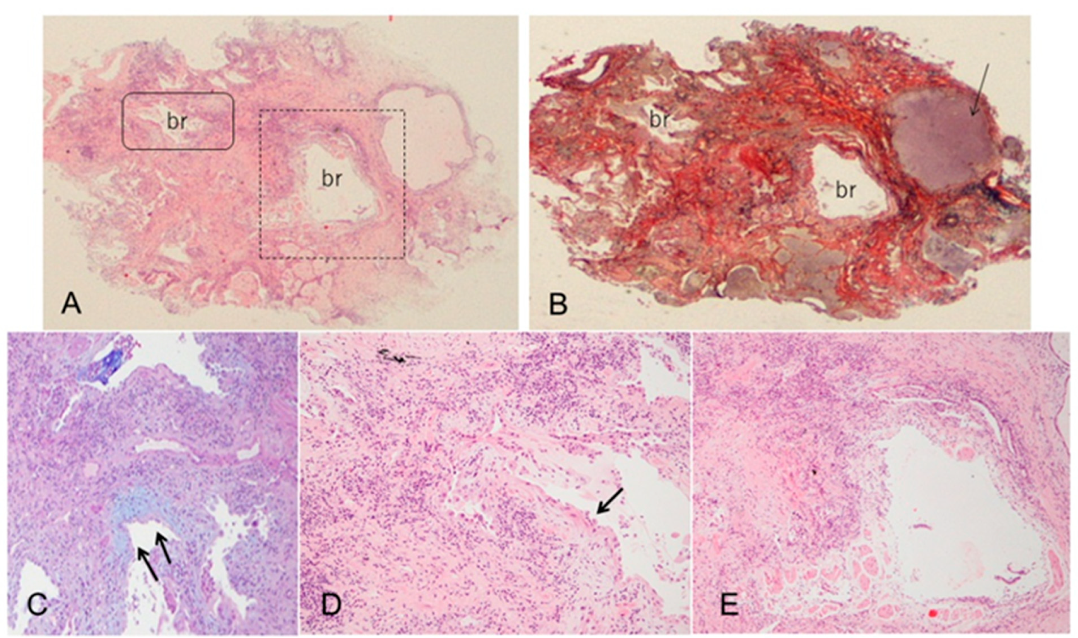 Jcm 11 03835 g002 Jcm 11 03835 g002