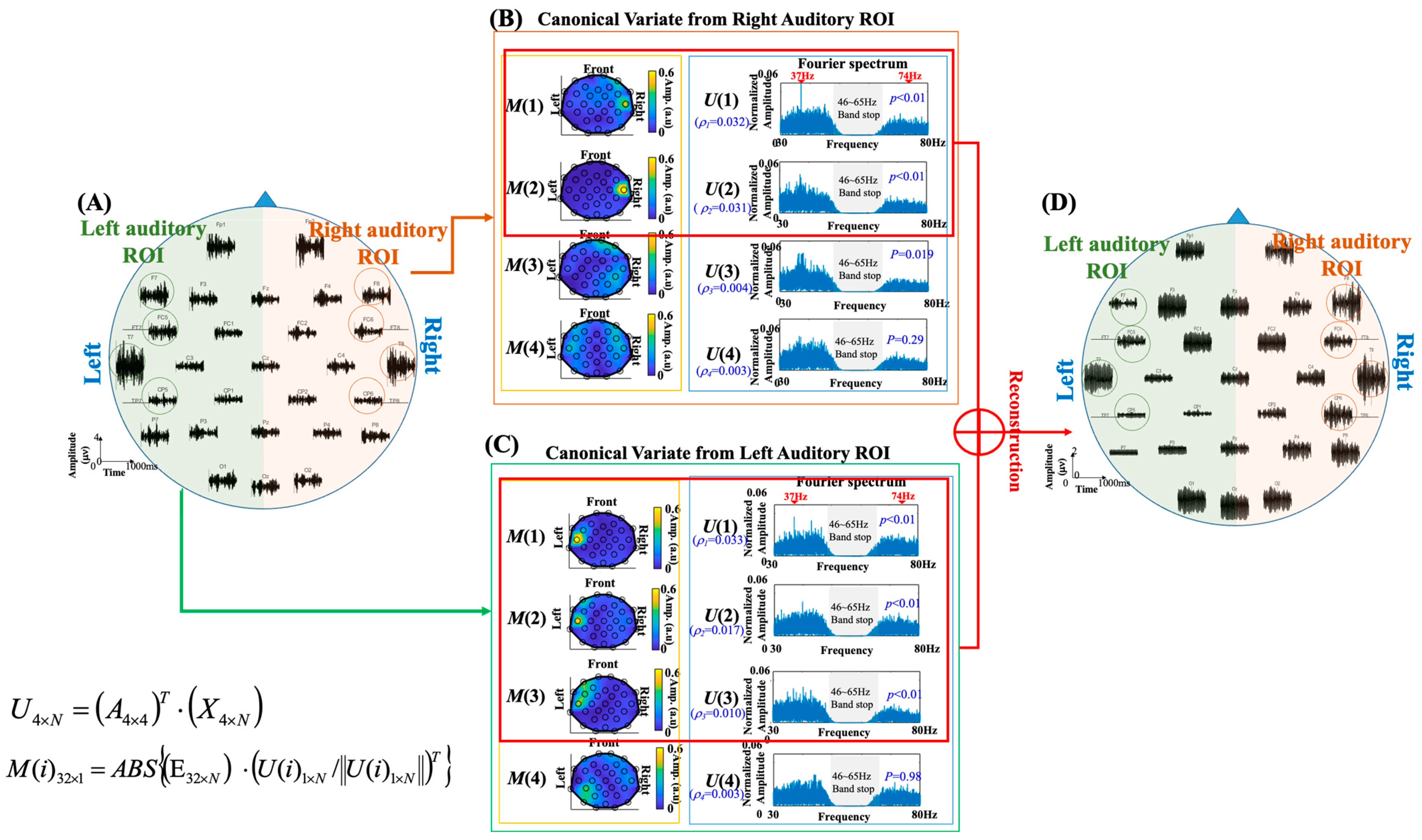 Jcm 11 03868 g001 Jcm 11 03868 g001