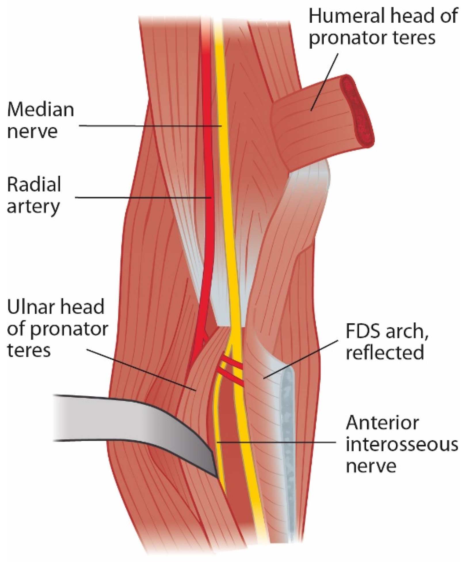 Jcm 11 03988 g003 Jcm 11 03988 g003