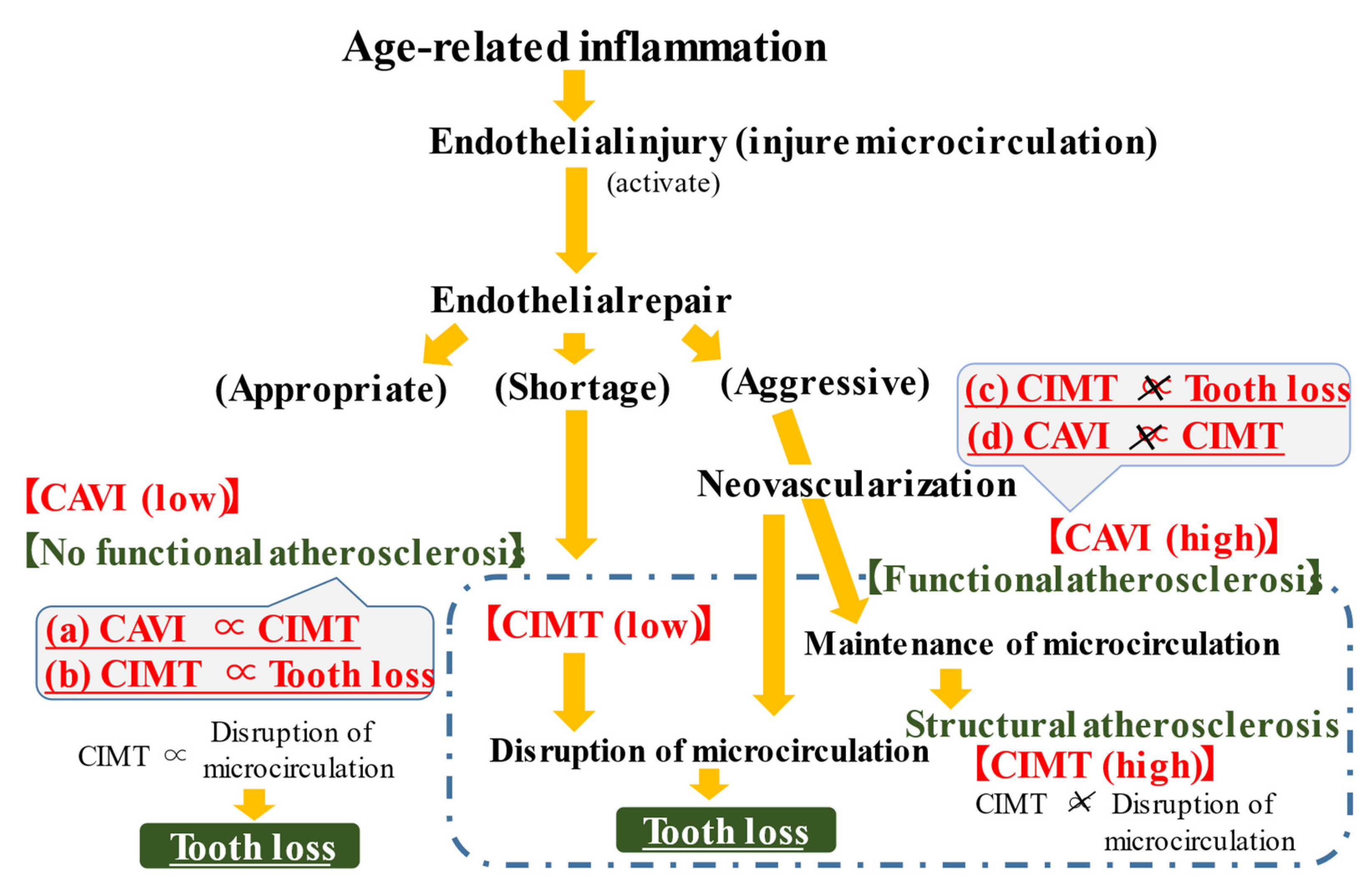 Jcm 11 03993 g001 Jcm 11 03993 g001