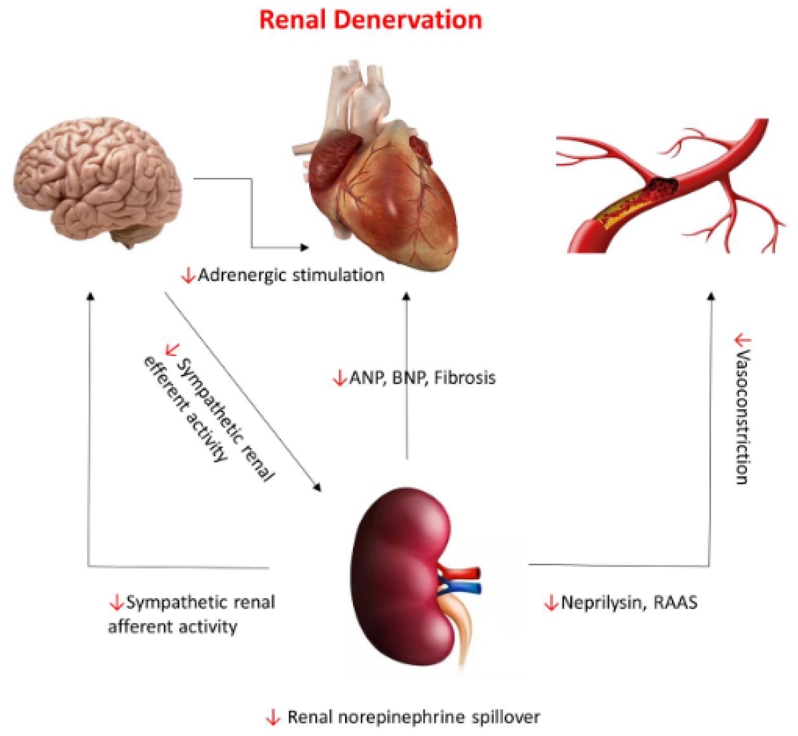 Jcm 11 04147 g001 Jcm 11 04147 g001