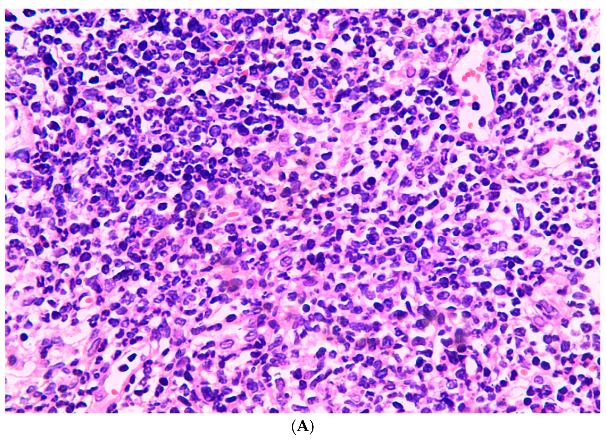 Jcm 11 05393 g006a