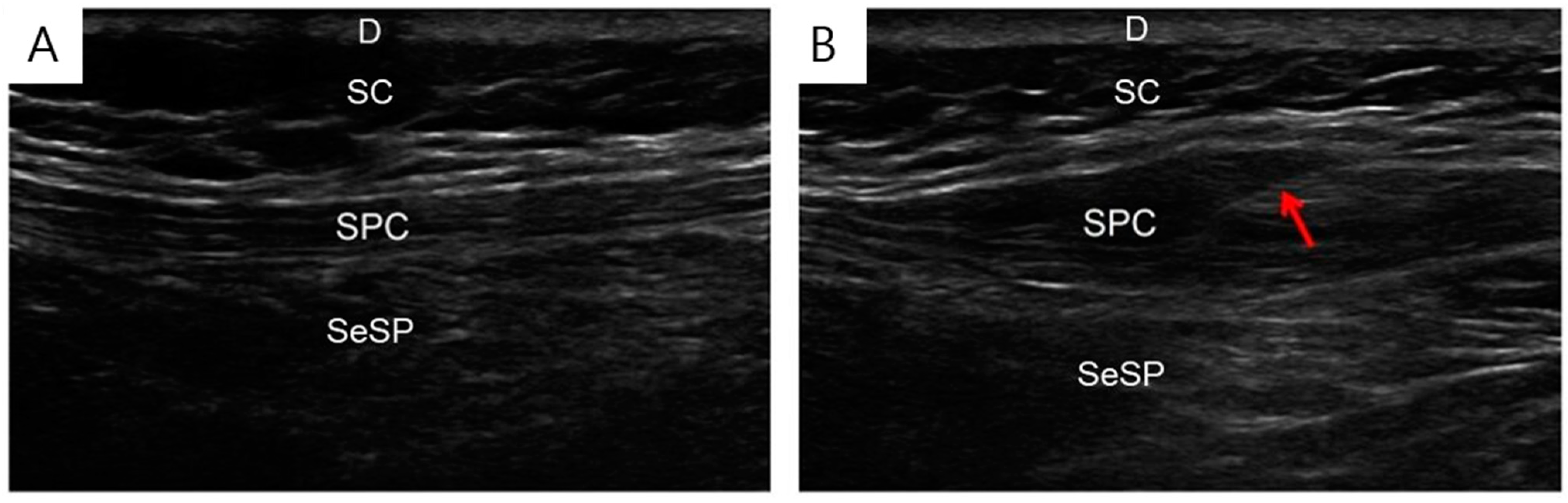 Jcm 11 05428 g002 Jcm 11 05428 g002
