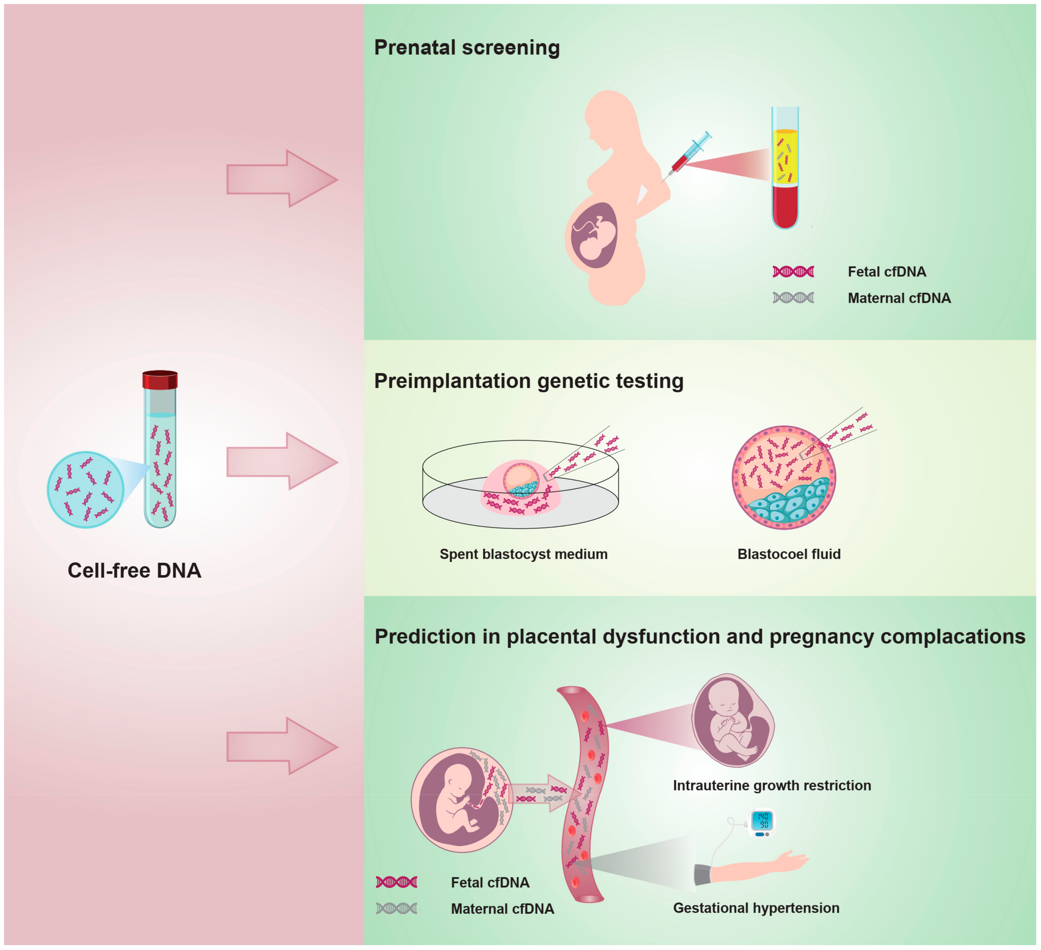 Jcm 11 05545 g006 Jcm 11 05545 g006