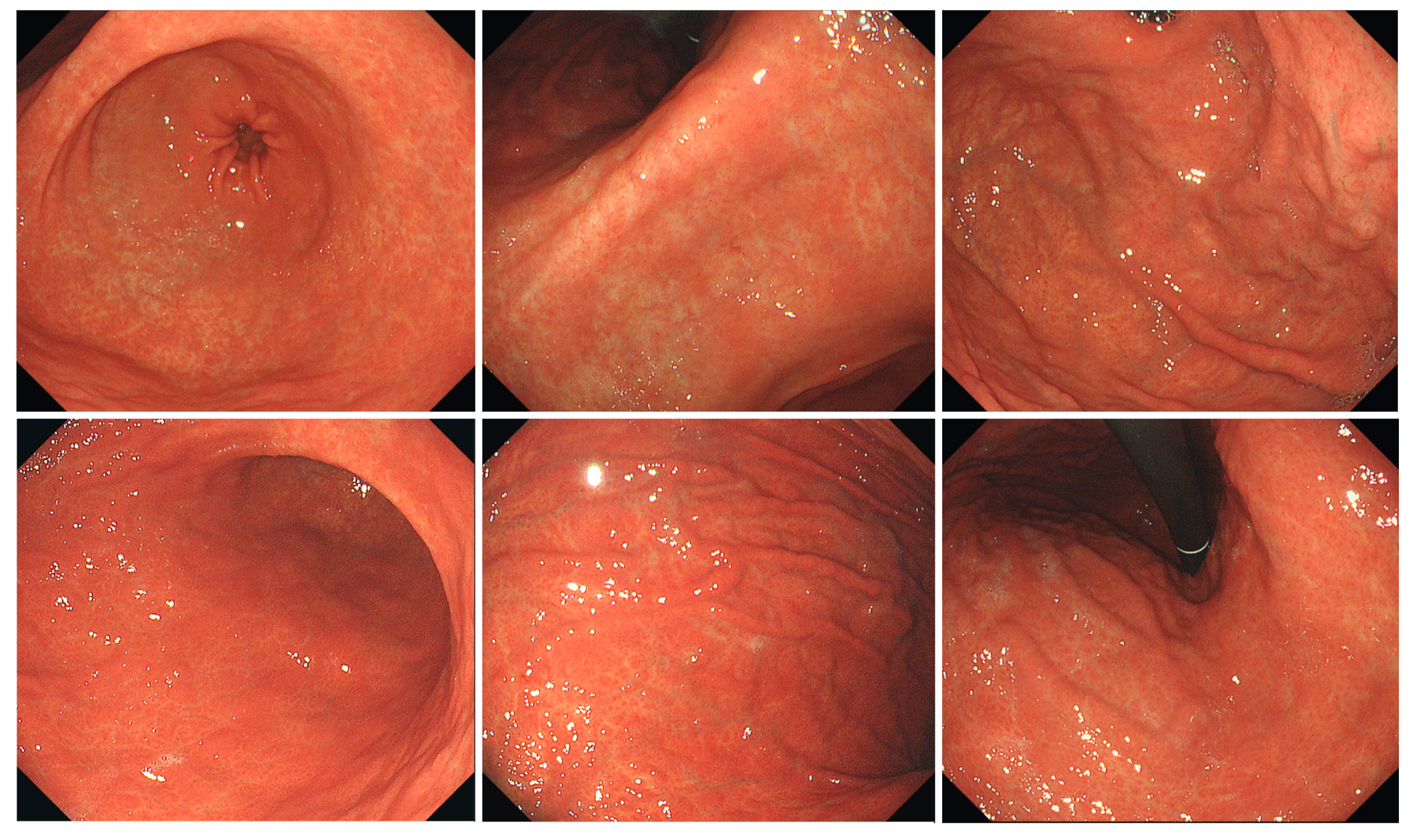 Jcm 11 05739 g002 Jcm 11 05739 g002