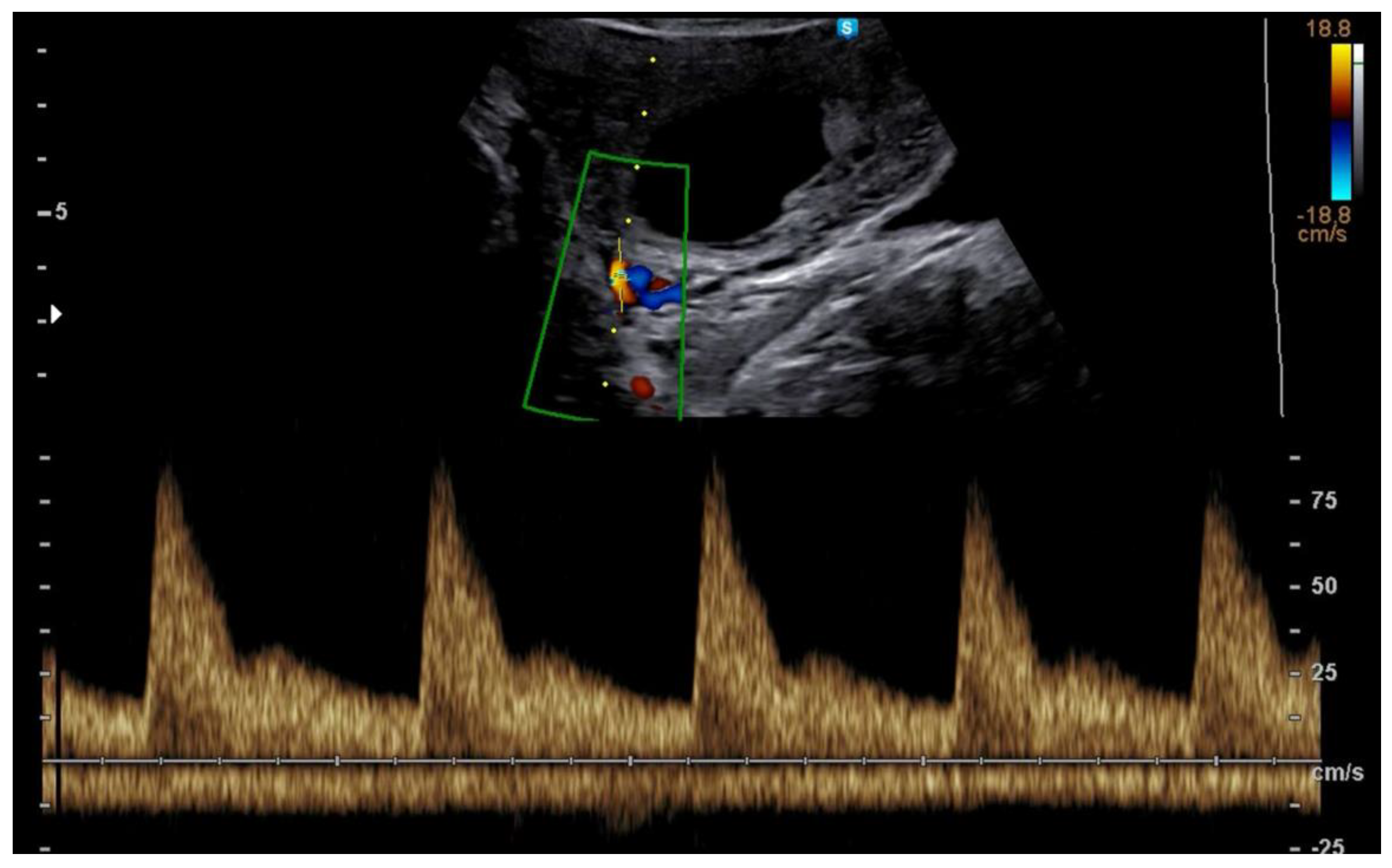 Jcm 11 05793 g001 Jcm 11 05793 g001