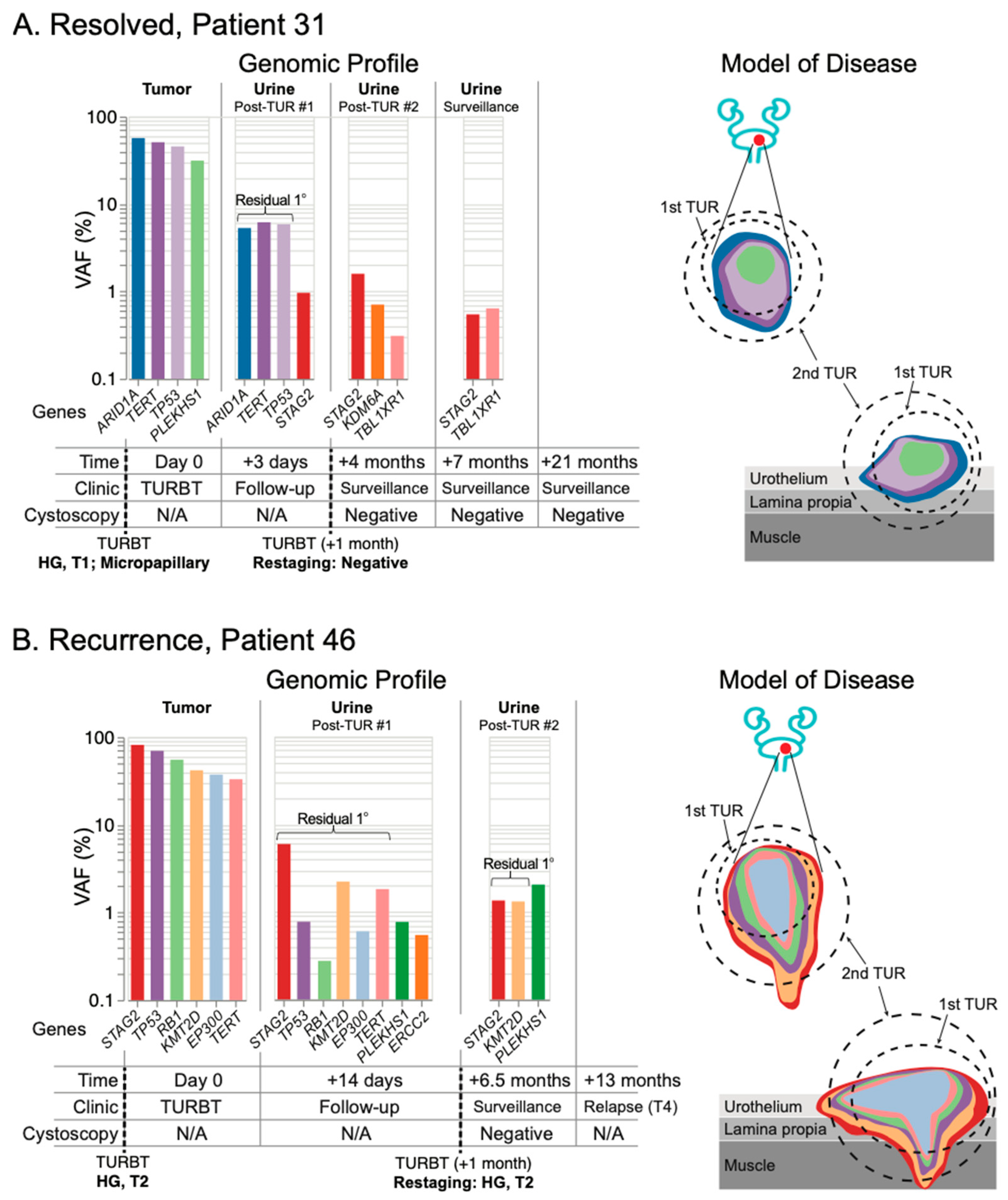 Jcm 11 05827 g005 Jcm 11 05827 g005
