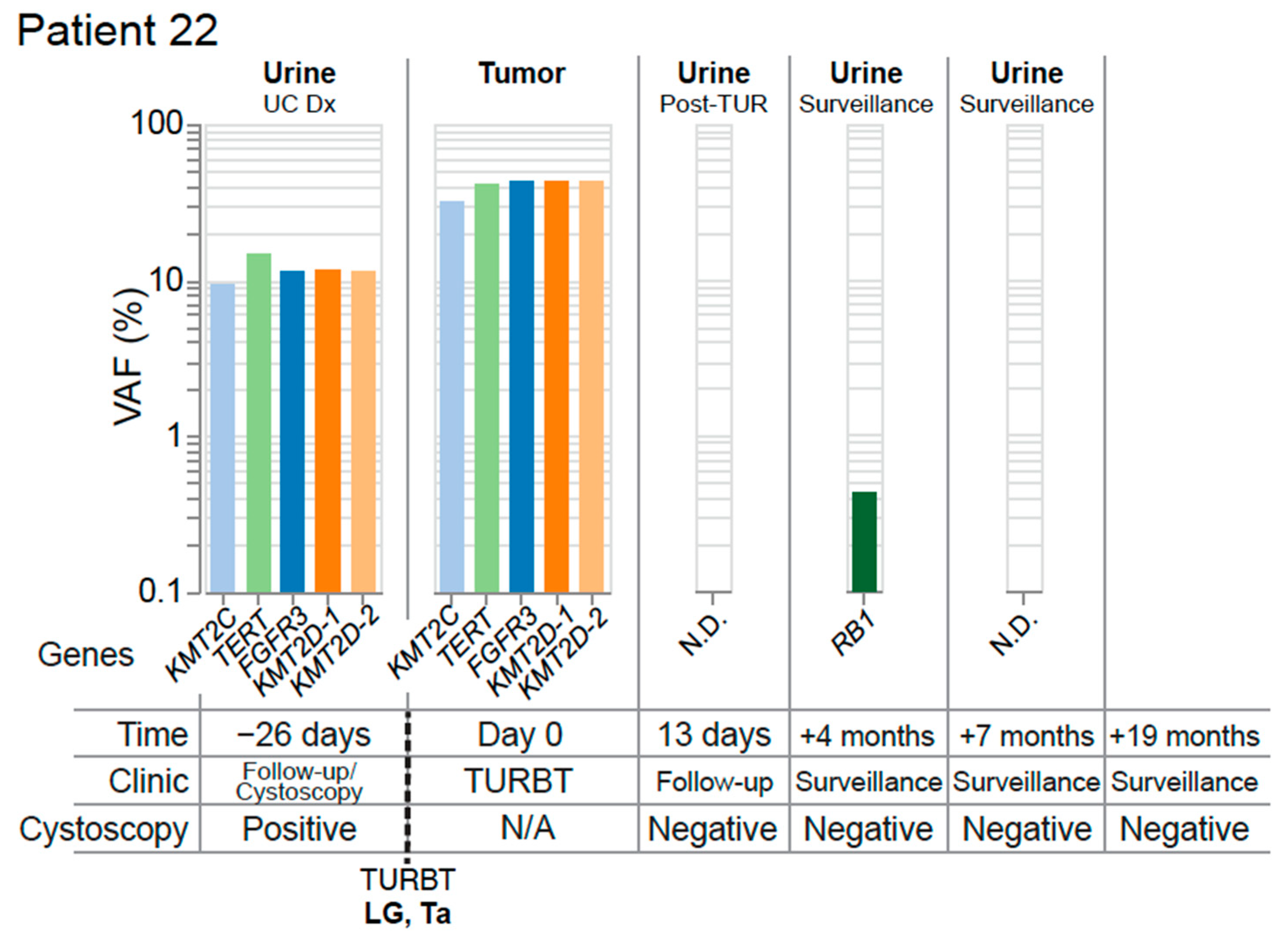 Jcm 11 05827 g006 Jcm 11 05827 g006