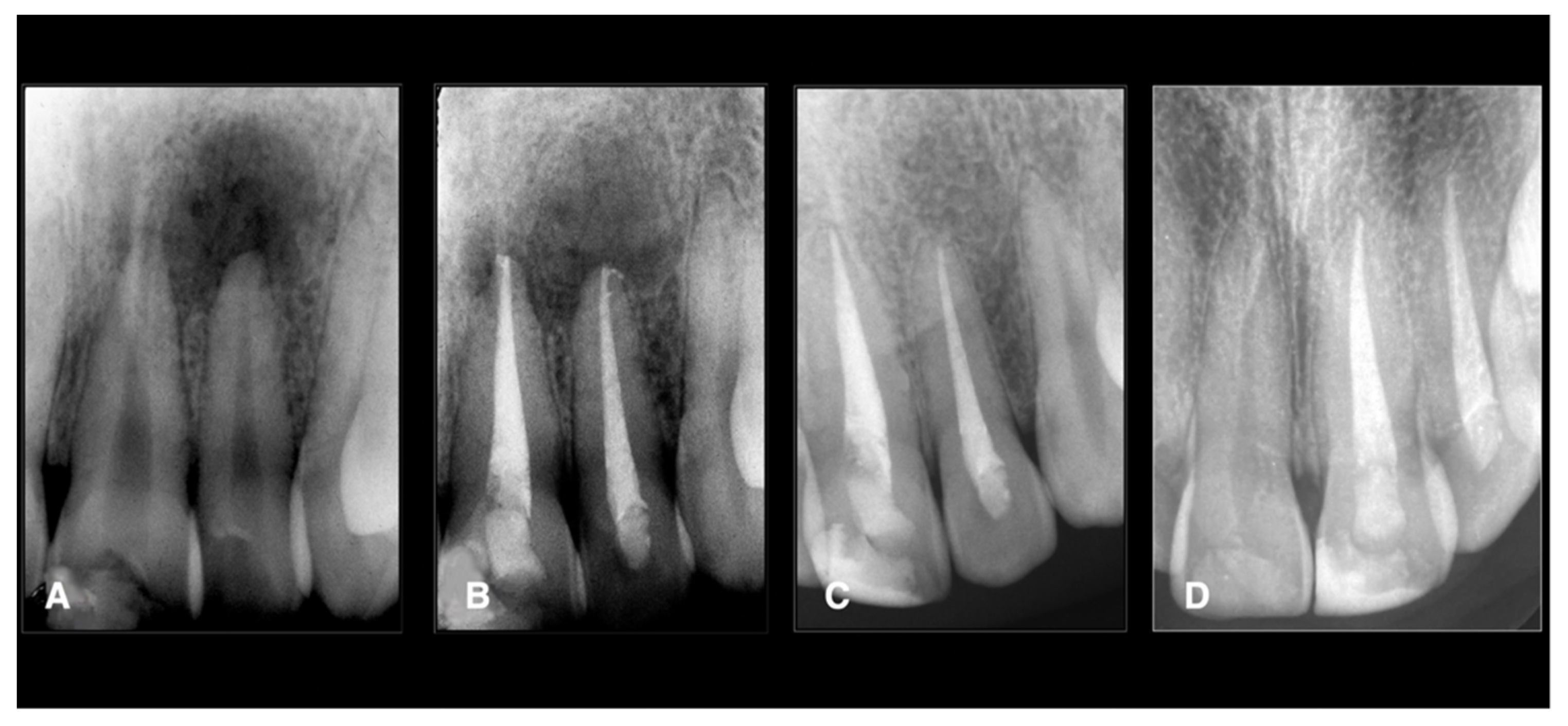 Jcm 11 06213 g002 Jcm 11 06213 g002
