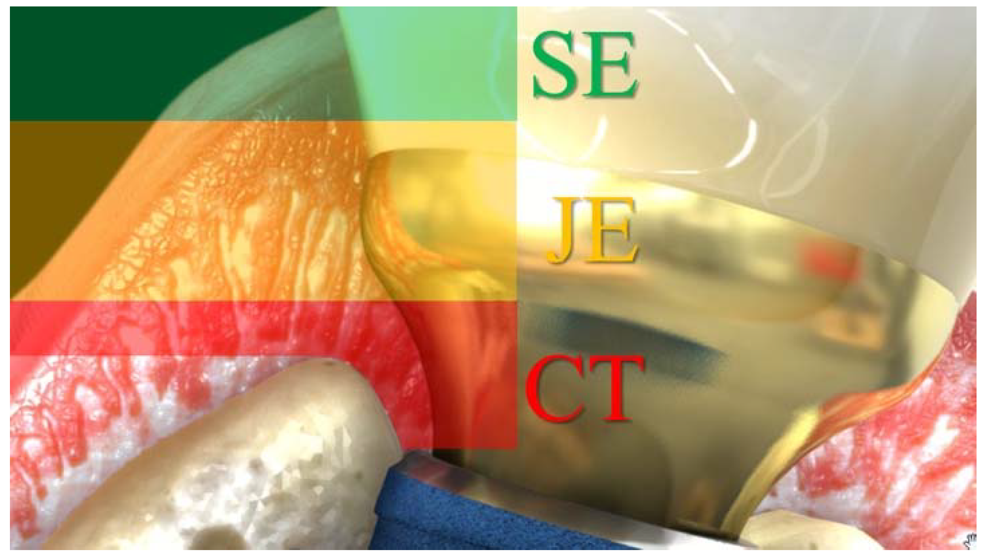 Jcm 11 06243 g002 Jcm 11 06243 g002