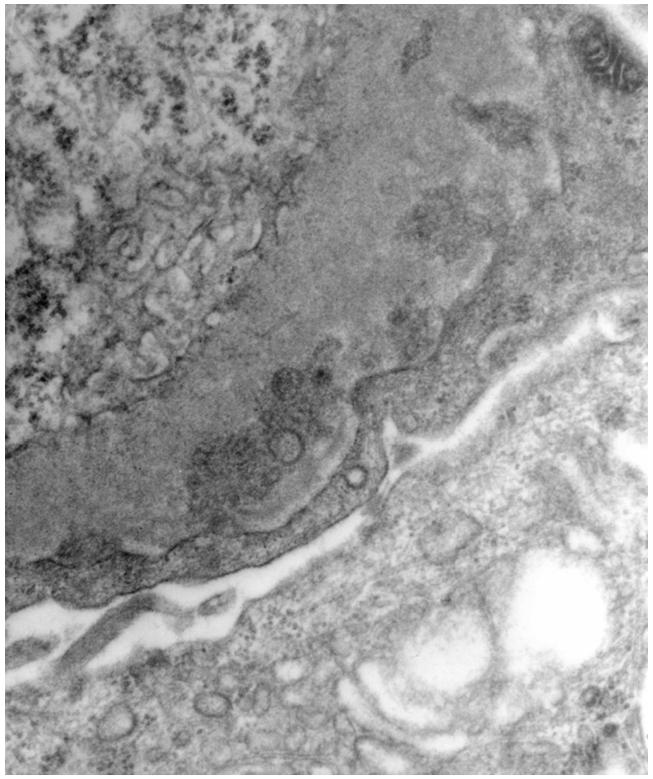 Jcm 11 06247 g002