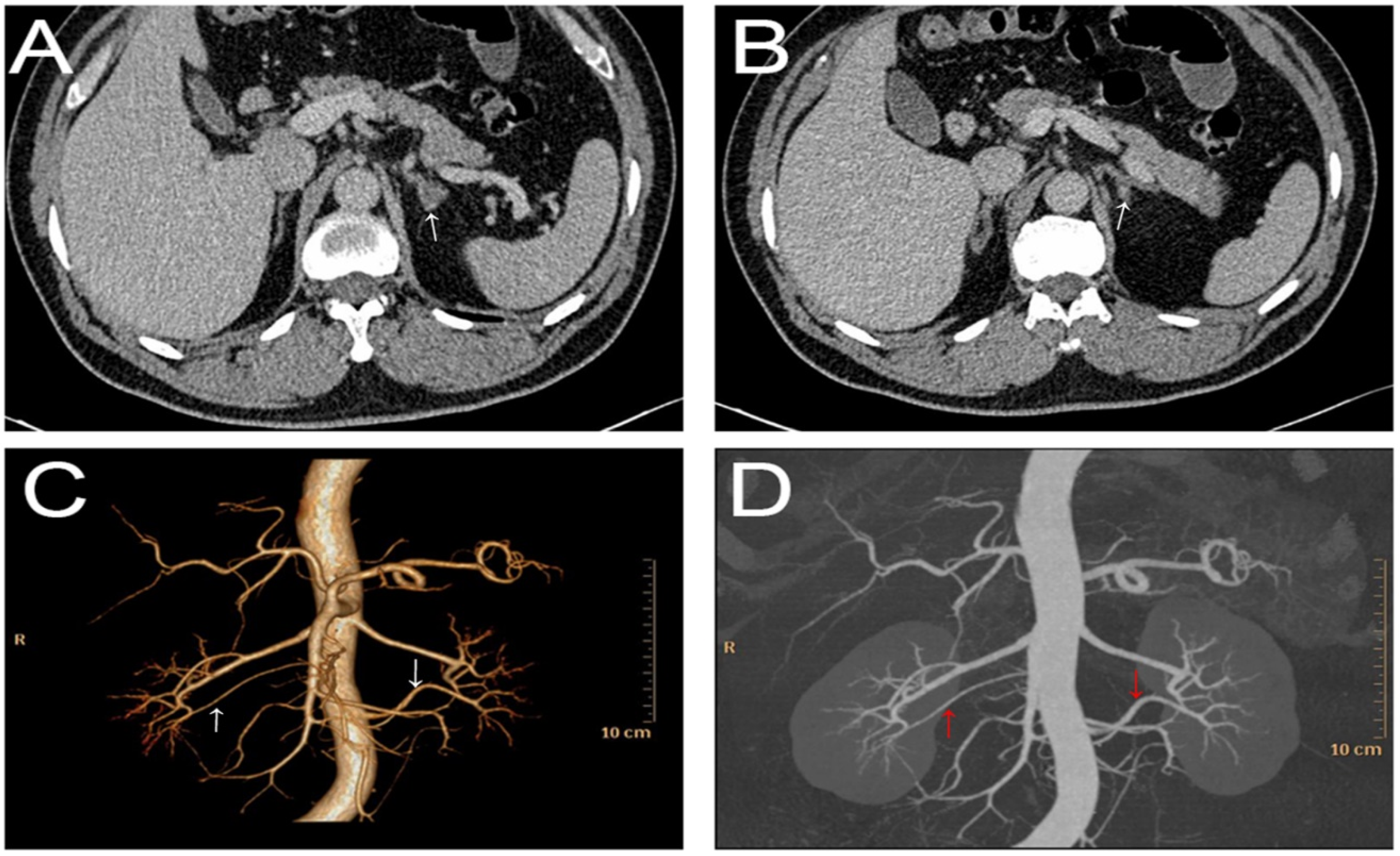 Jcm 11 06276 g001 Jcm 11 06276 g001
