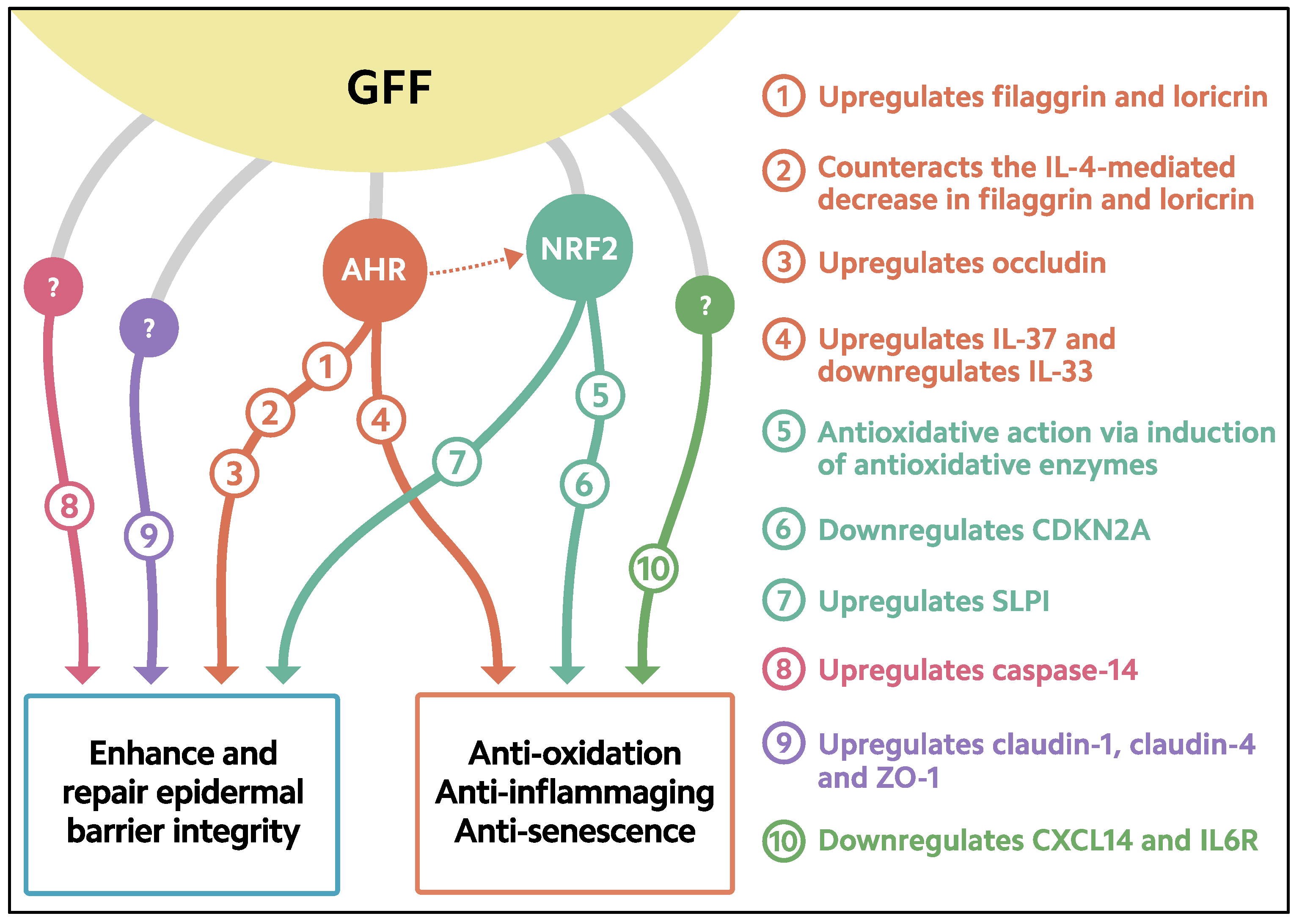 Jcm 11 06338 g002 Jcm 11 06338 g002
