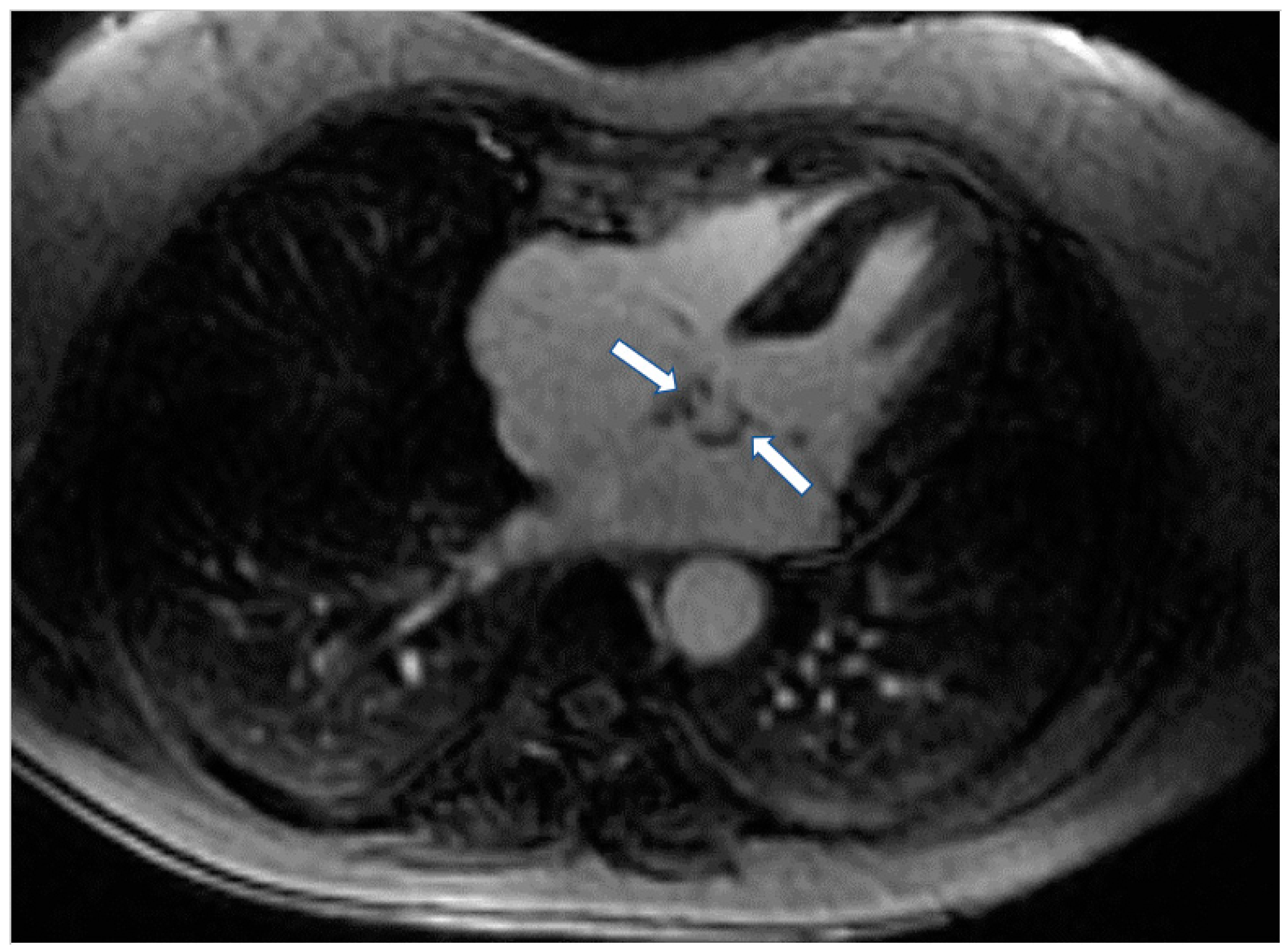 Jcm 11 06403 g006 Jcm 11 06403 g006