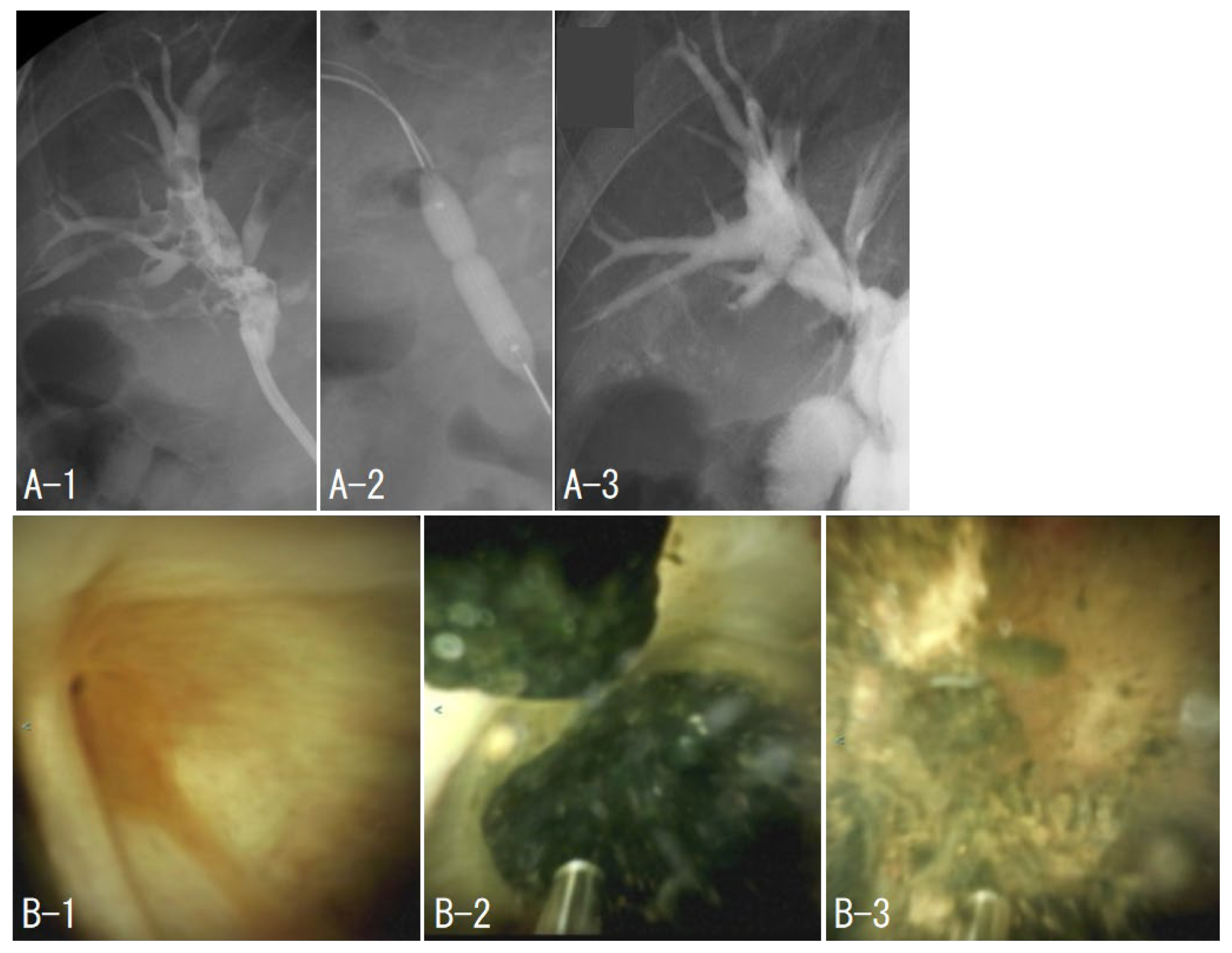 Jcm 11 06425 g001 Jcm 11 06425 g001