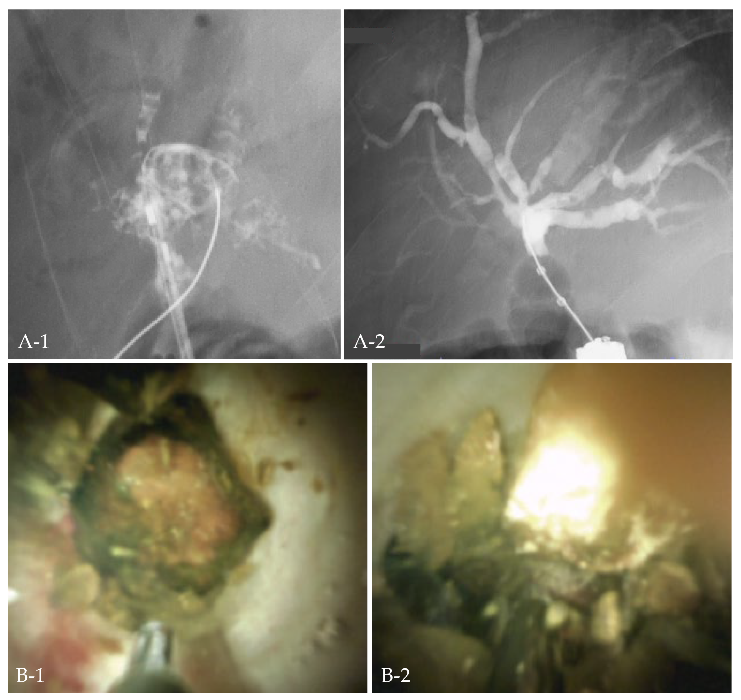 Jcm 11 06425 g003 Jcm 11 06425 g003