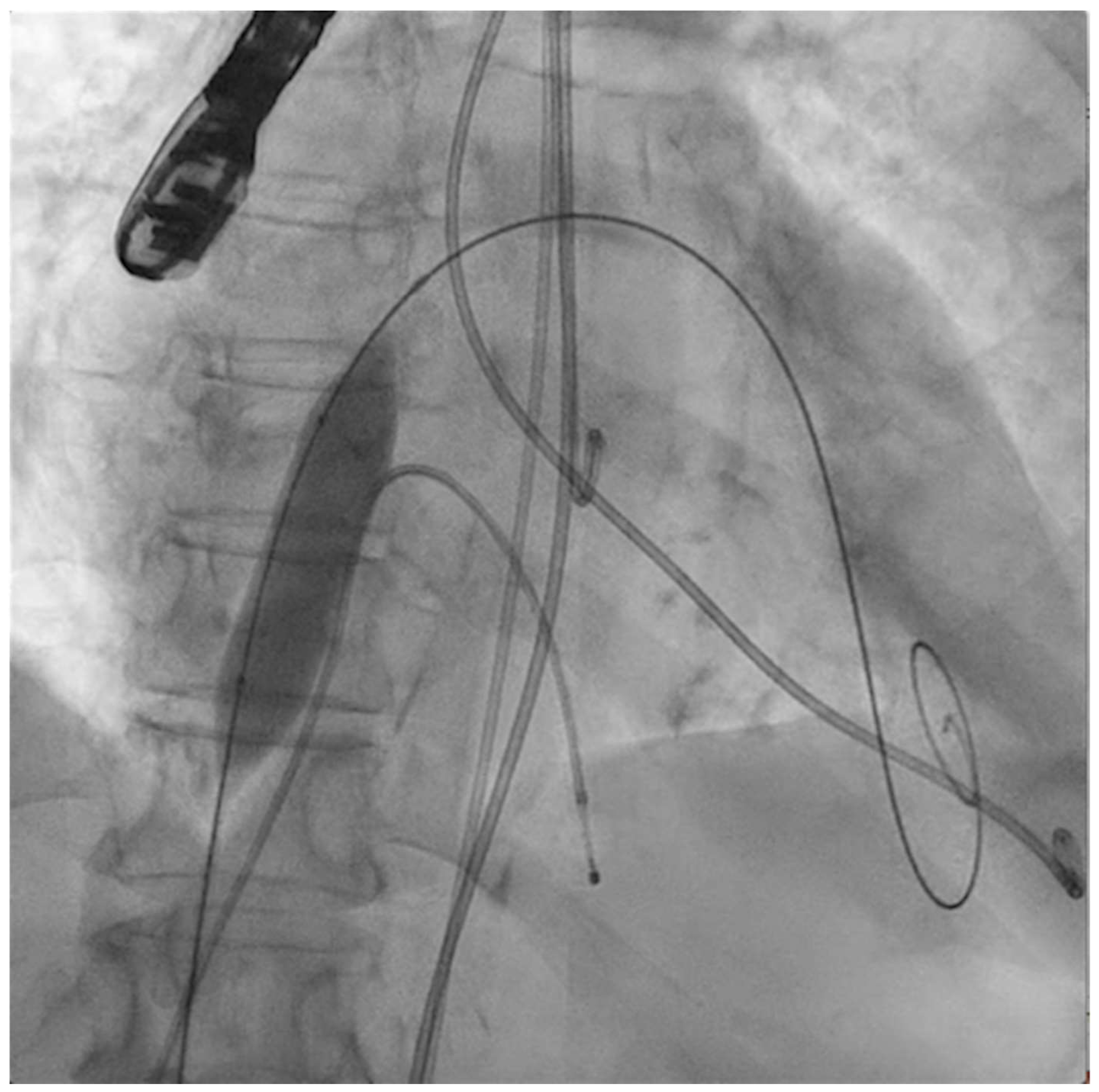 Jcm 11 06444 g001 Jcm 11 06444 g001